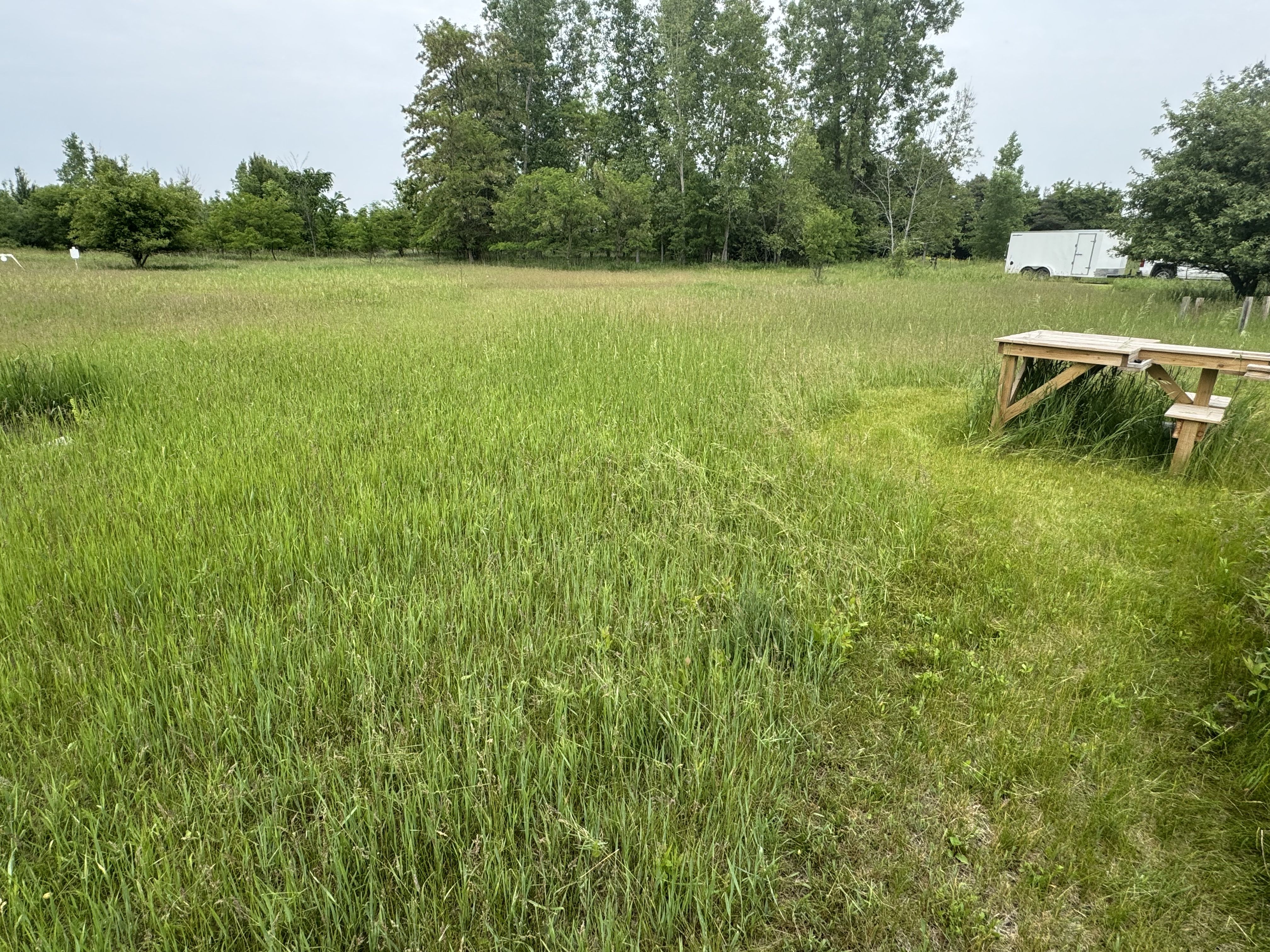 for Daugherty's Tough Lawn Care in Essexville, MI