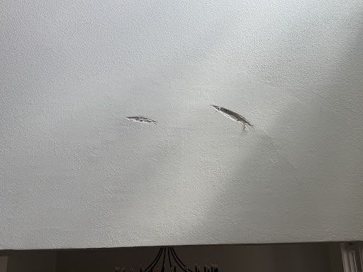  for Patch Pros LLC in Denver, CO