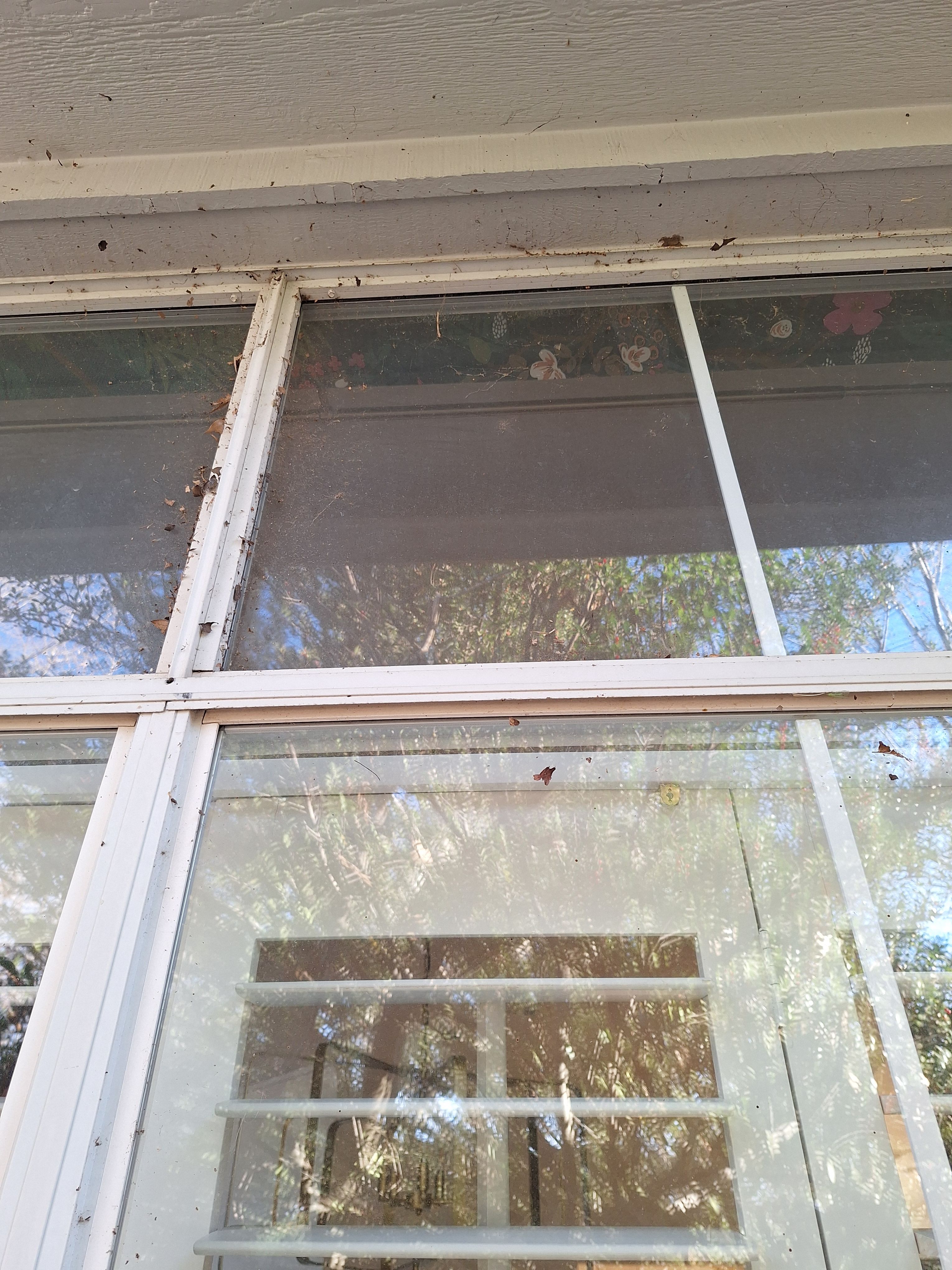  for Connected Exterior Cleaning in Dallas, TX