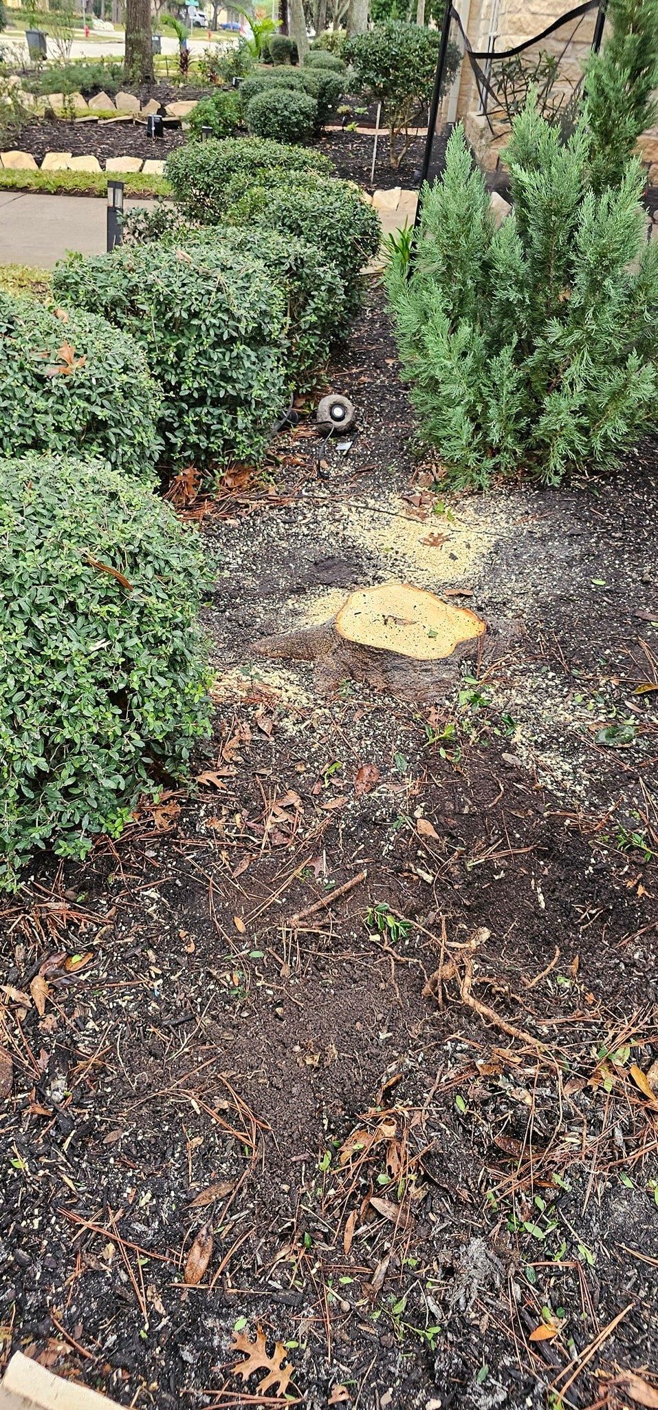  for Servin's Tree Care  in Houston, TX