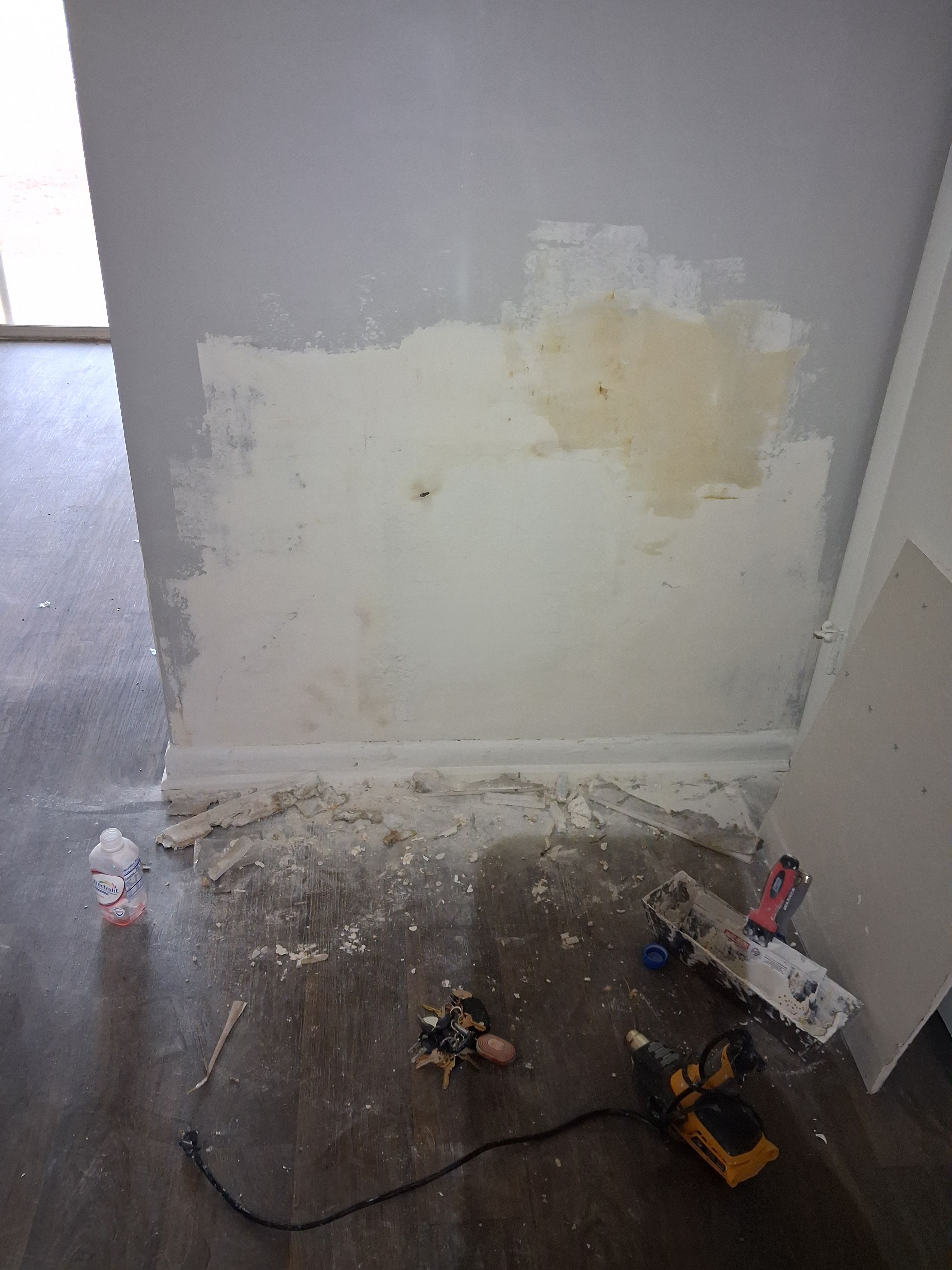  for Raw Paintings, Sheetrock Repairs and Cleaning in Columbia, SC