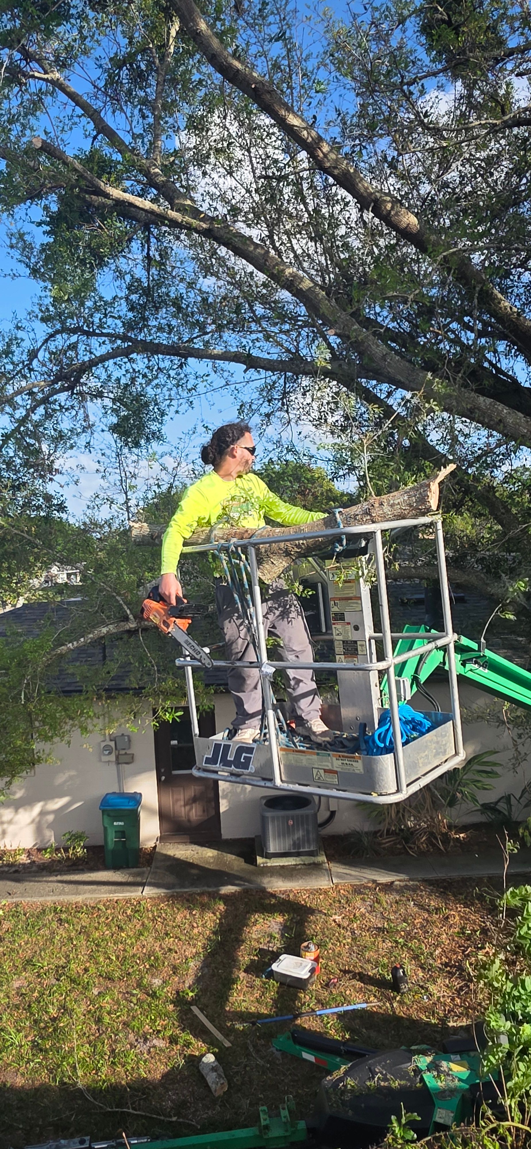 All Photos for Highlife Tree Care And Landscaping in Altamonte Springs, FL