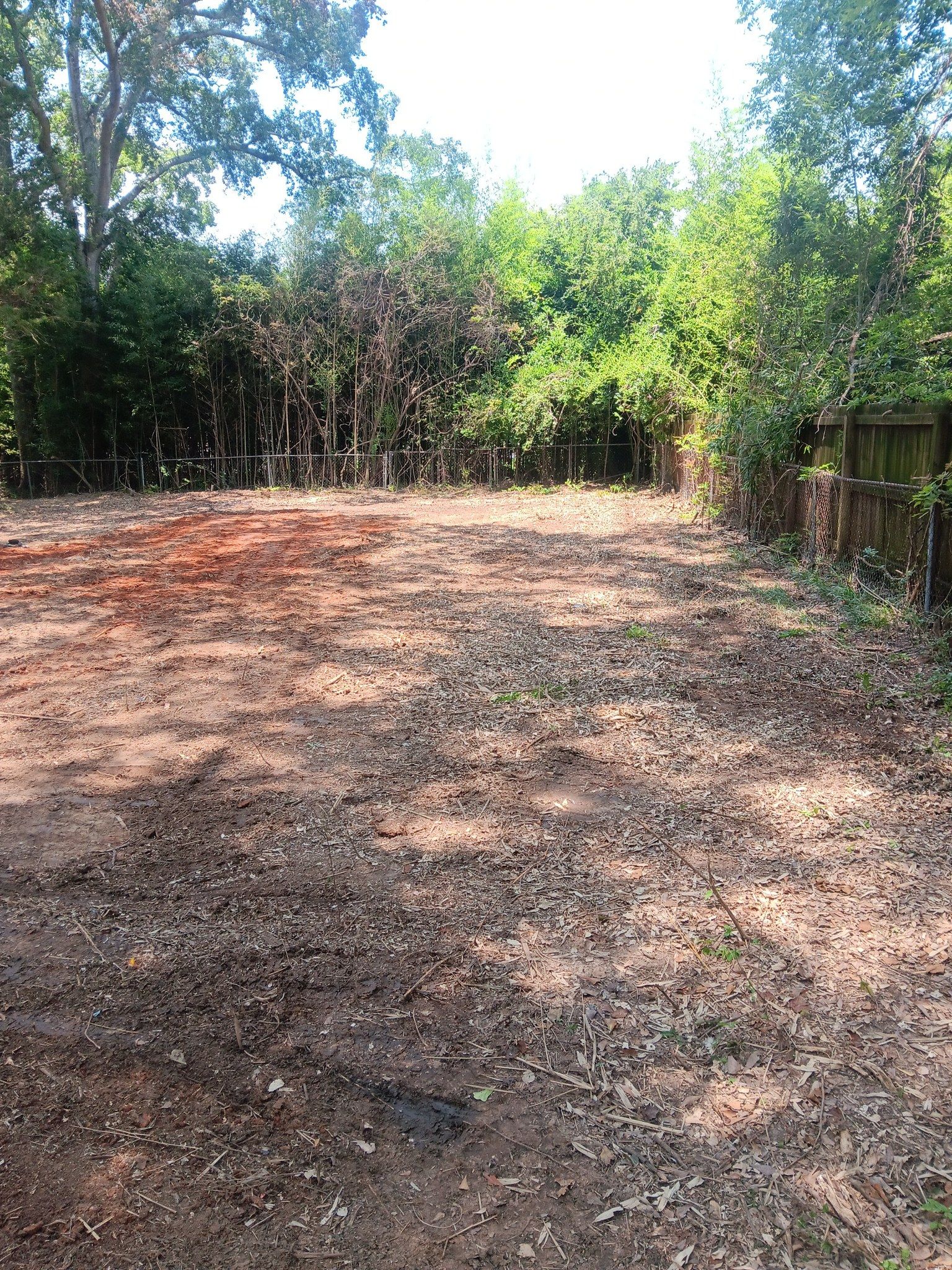  for Big C Land Management in Anniston, AL