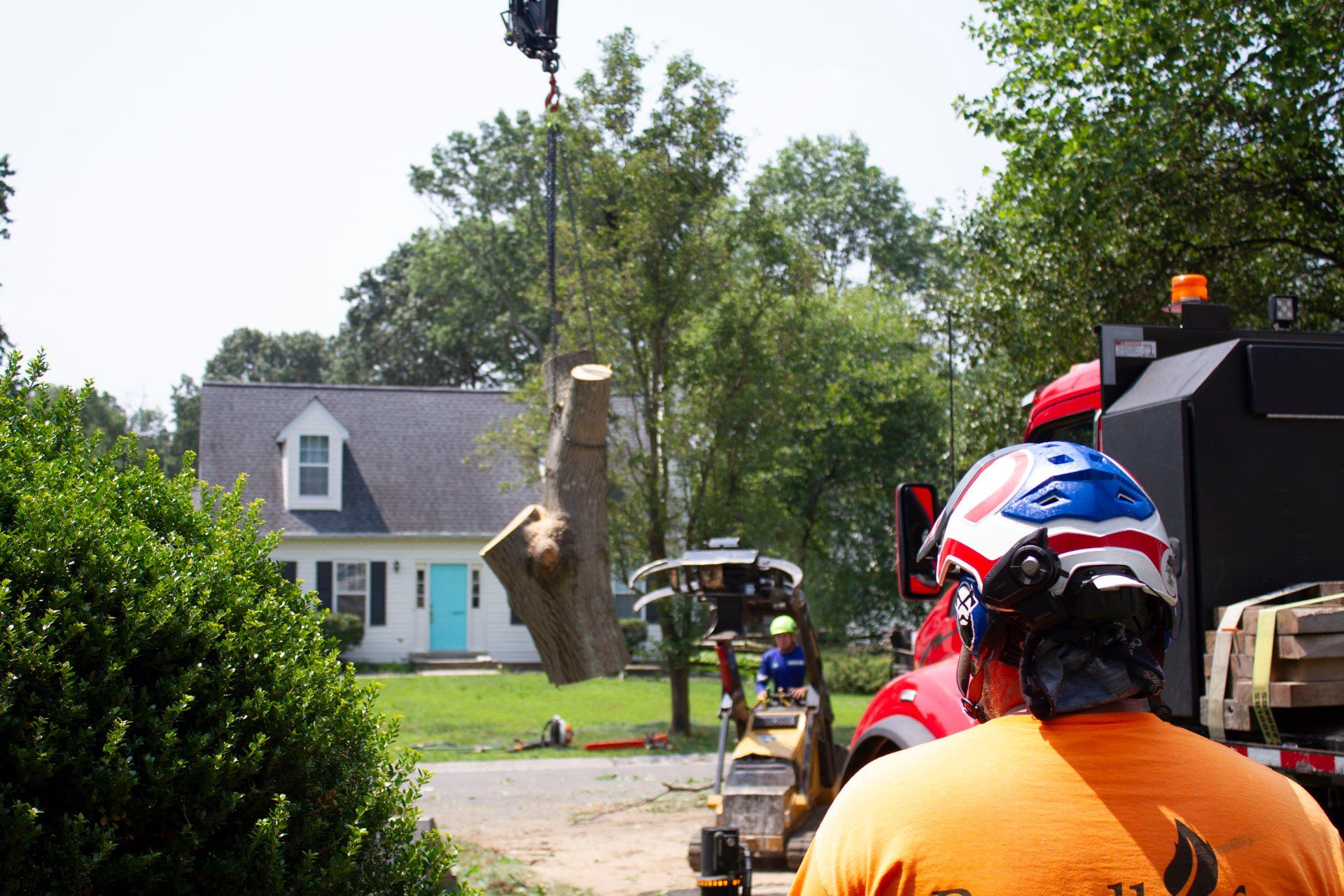 Tree Removal for Empire Tree Services in Mechanicsville, MD