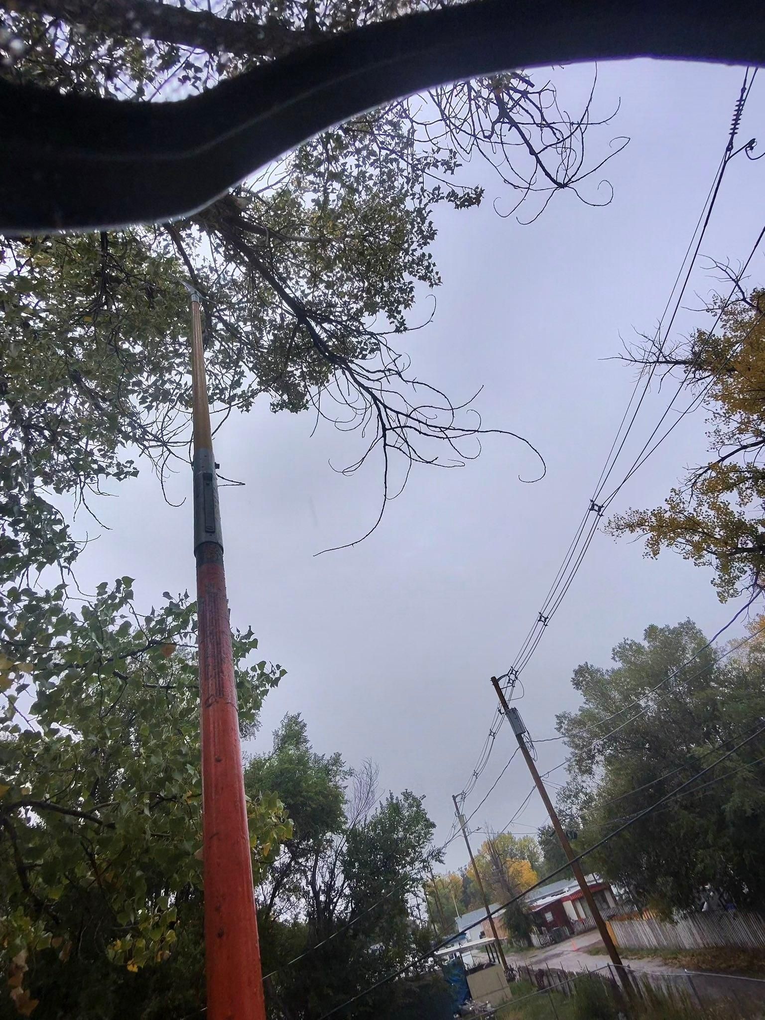  for Elevated Tree Care in Gillette, WY