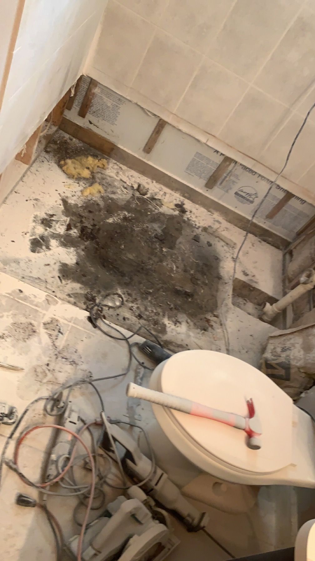  for Space Coast Property Maintenance and Management LLC in Melbourne, FL