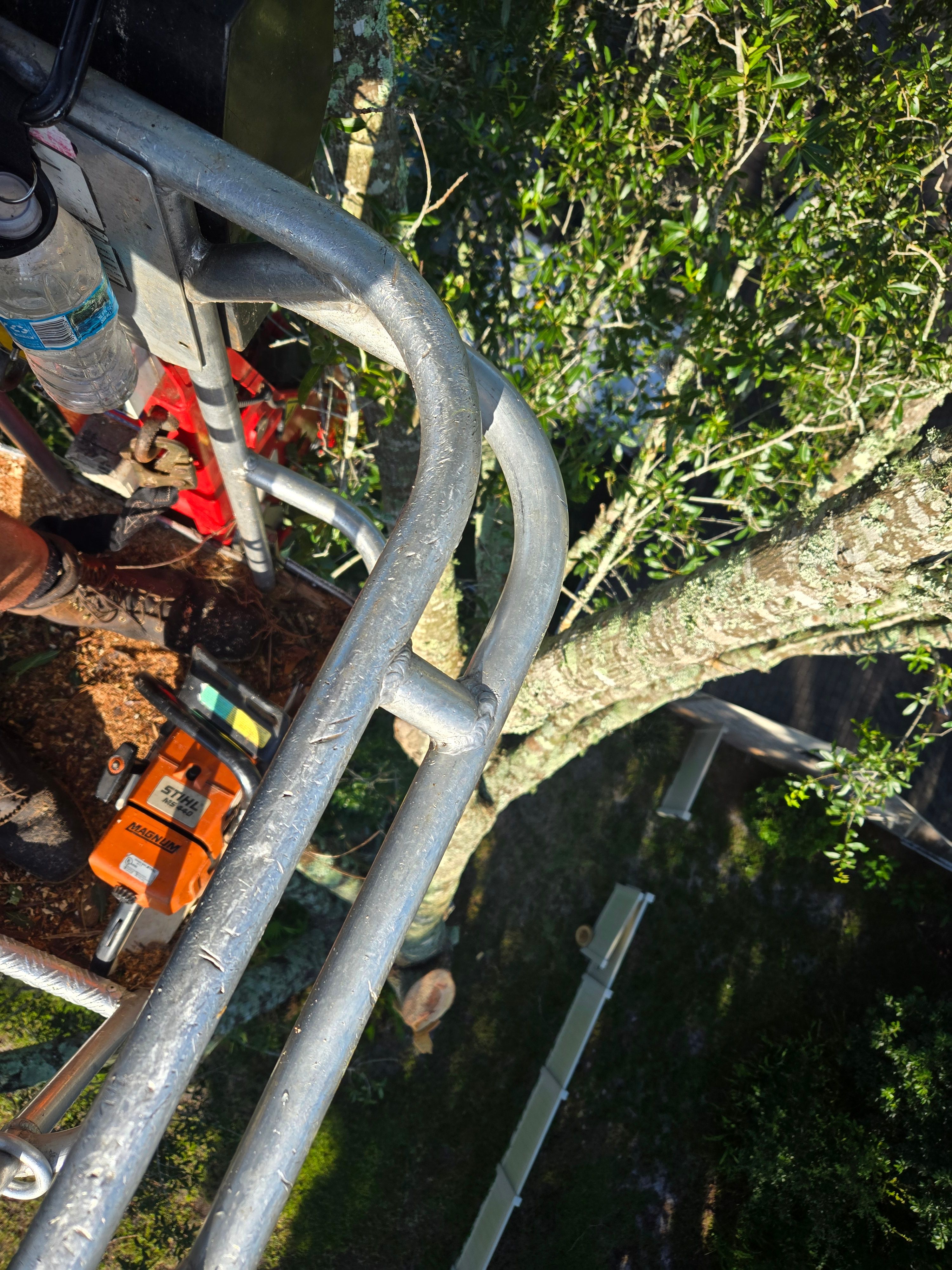 All Photos for Near Me Tree Service, Inc. in DeLand, FL