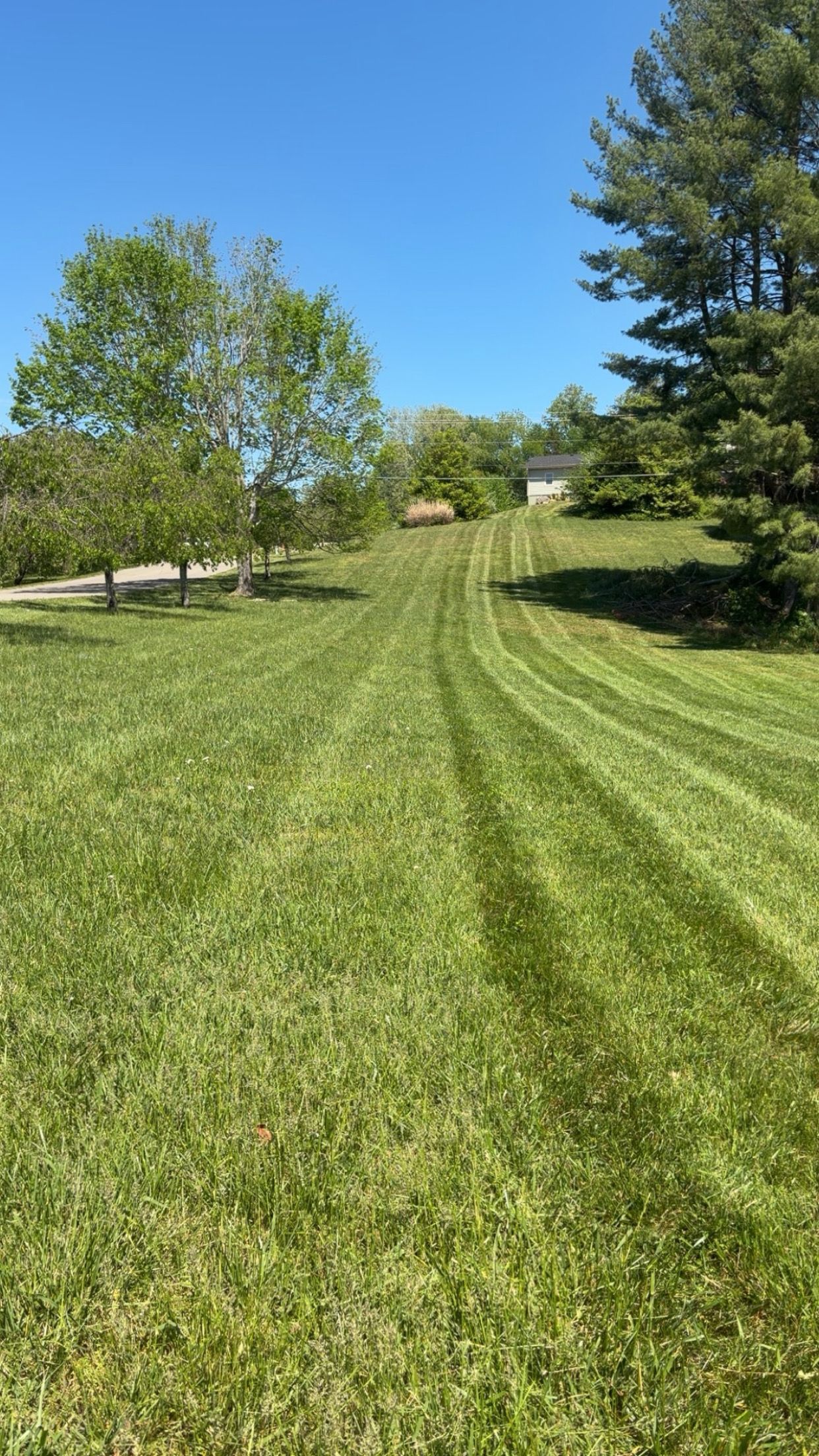 All Photos for The Yard Barbers in Somerset, KY