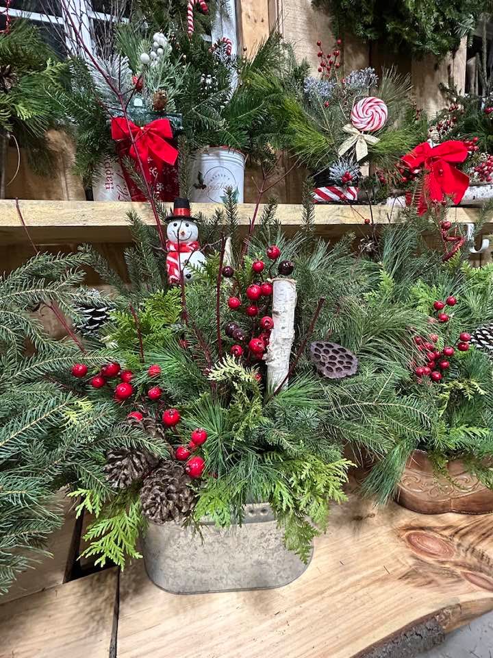  for Spring Creek Evergreens in Red Wing, MN