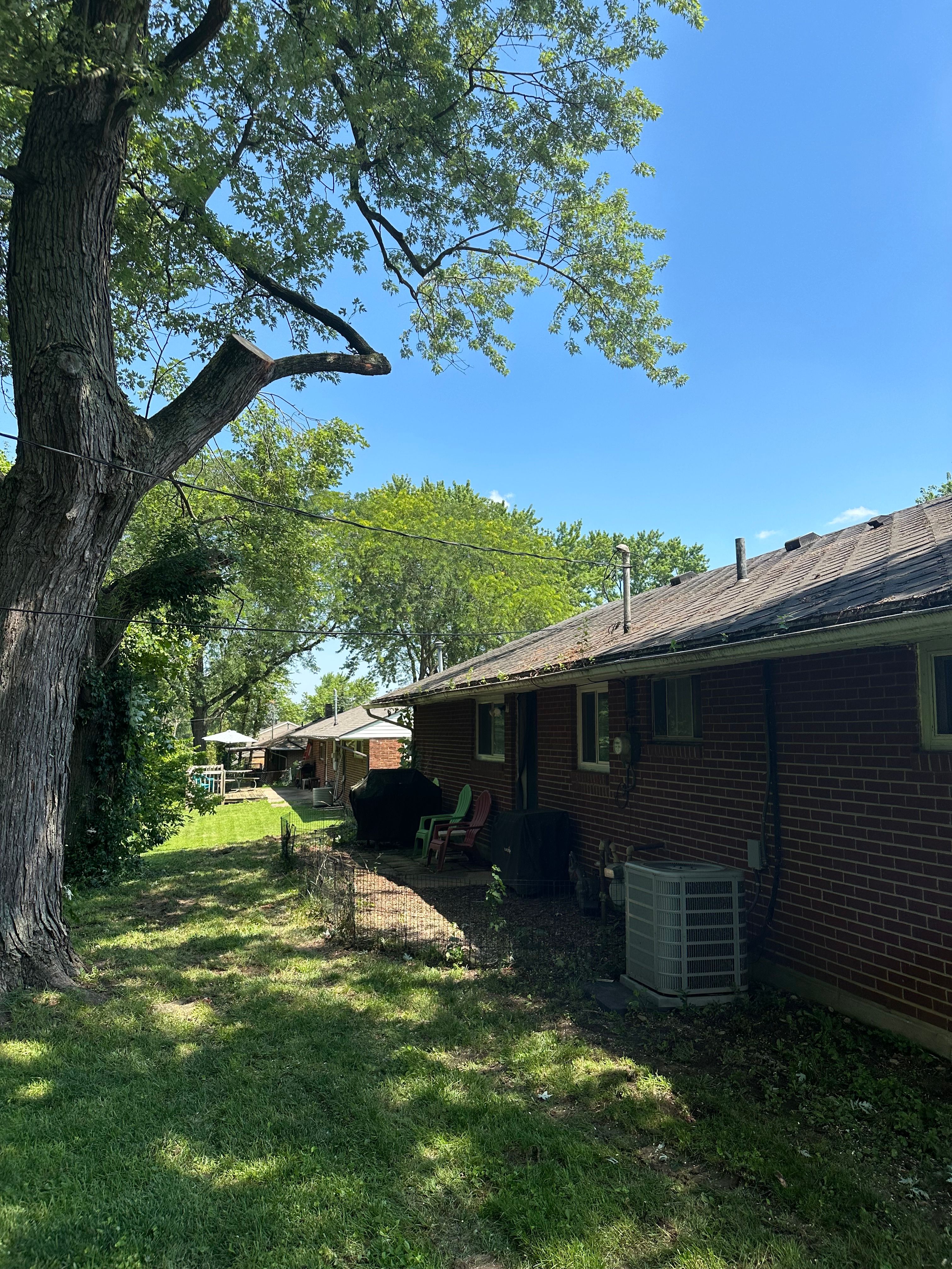 All Photos for Pro Tree Trim & Removal, Llc in Dayton, OH