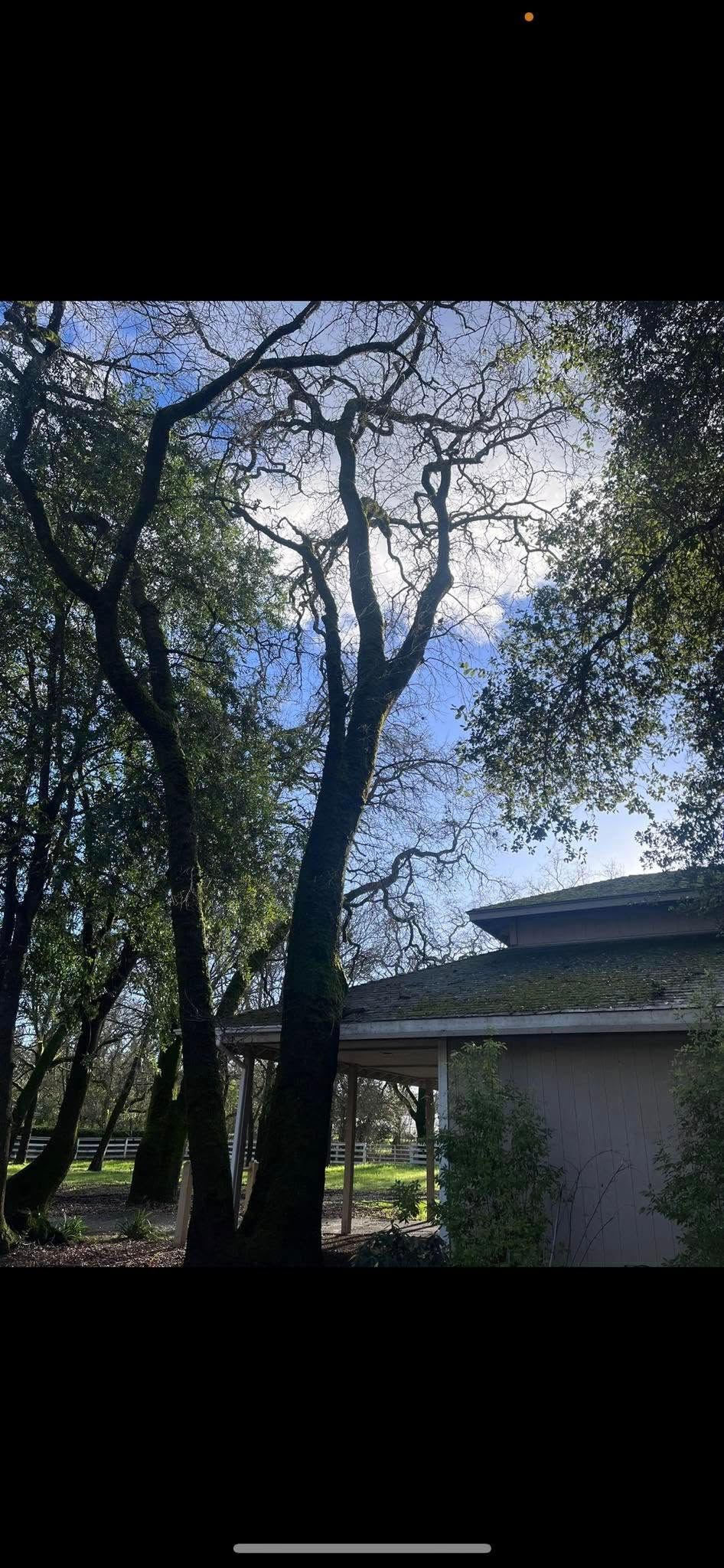  for J. Orozco & Sons Ent in Philo, CA