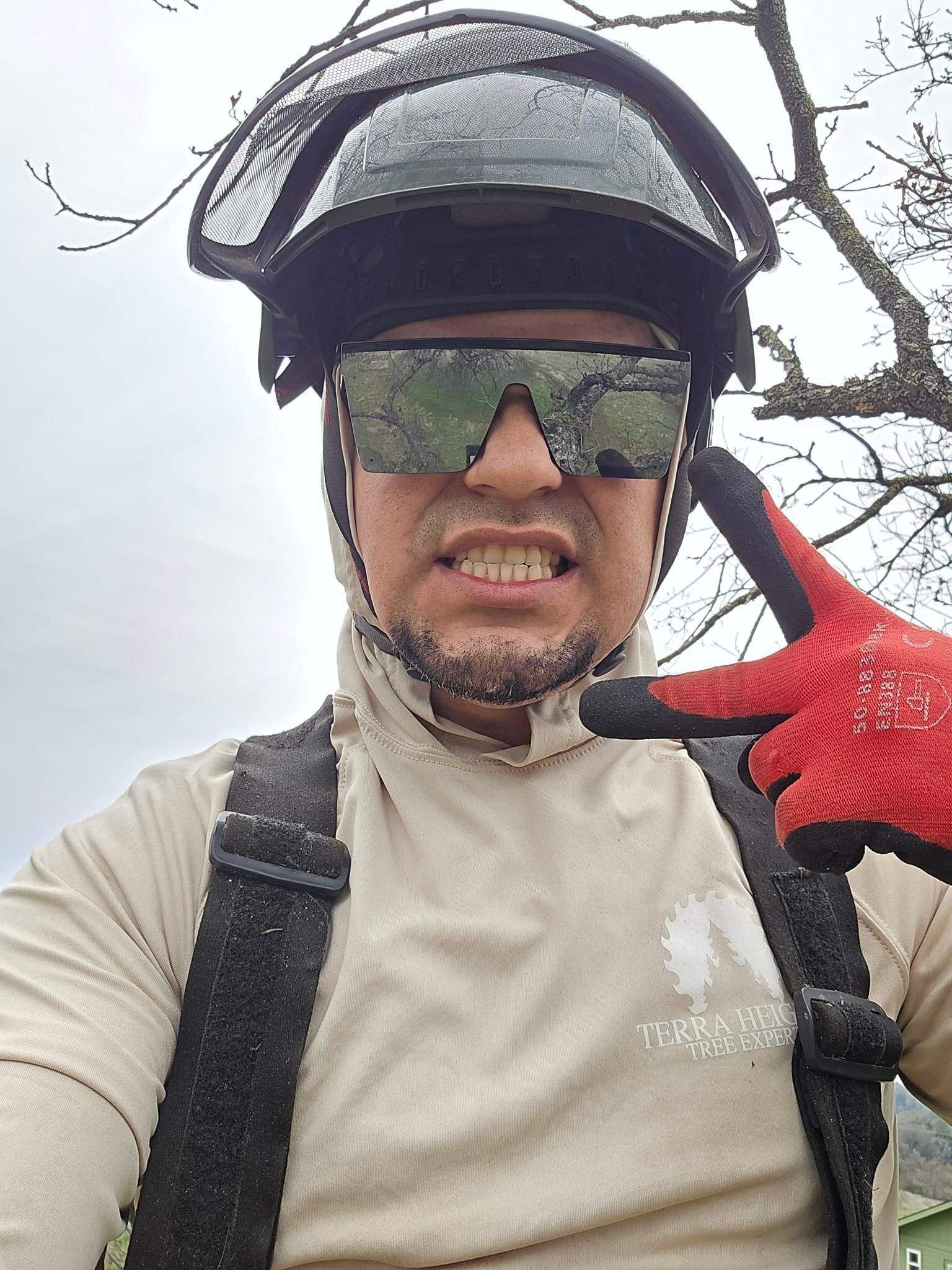  for Terra Heights Tree Experts & Landscaping  in Grass Valley,  CA