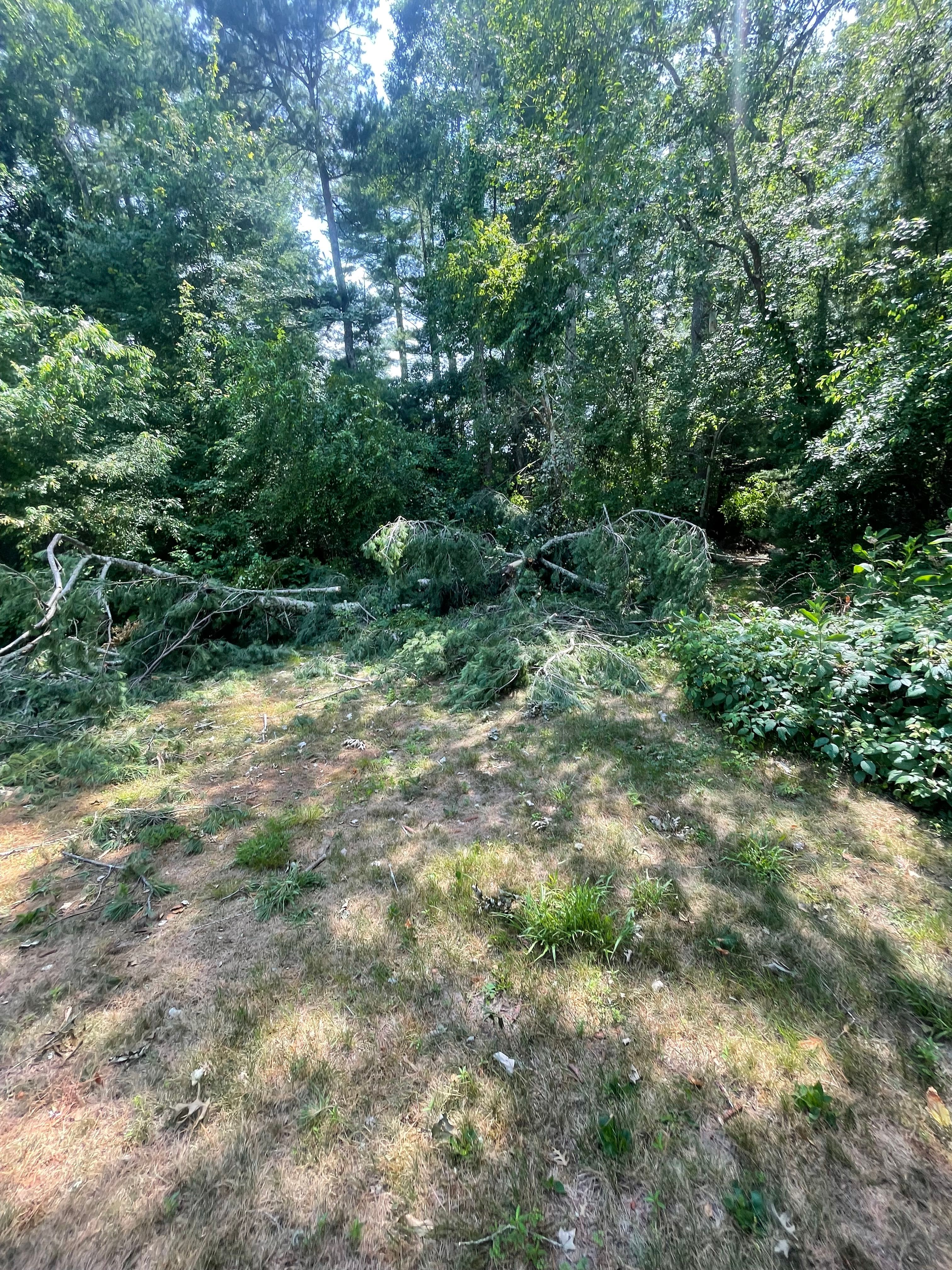  for Lucas Property Maintenance LLC in New Bedford, MA