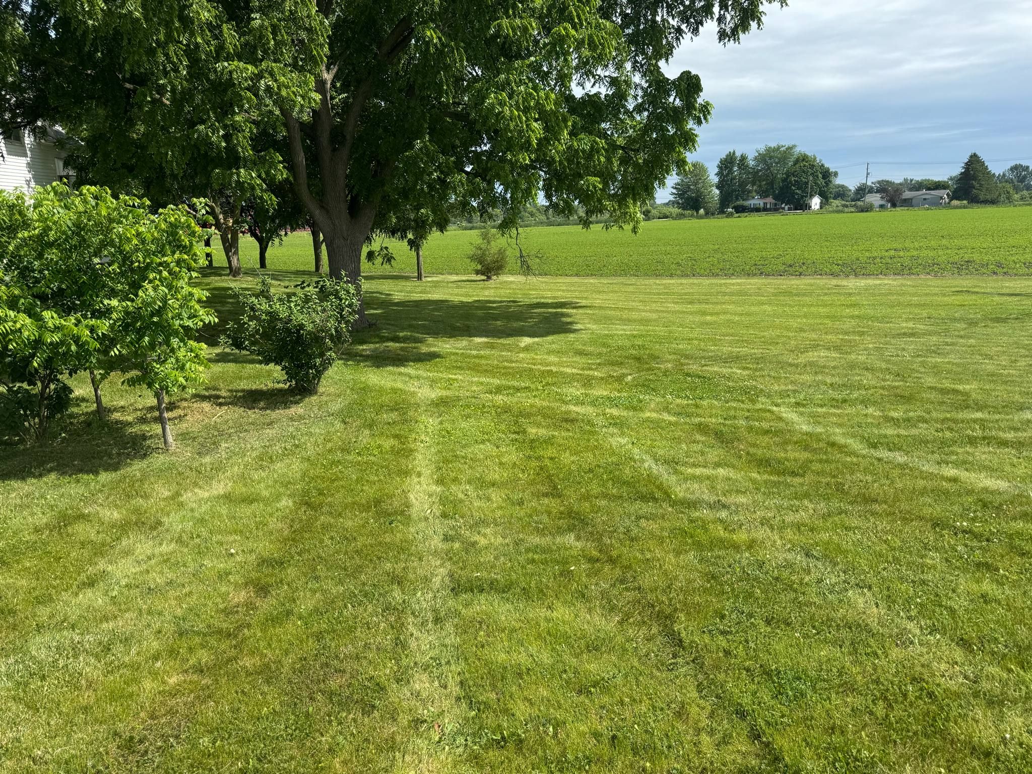  for Daugherty's Tough Lawn Care in Essexville, MI