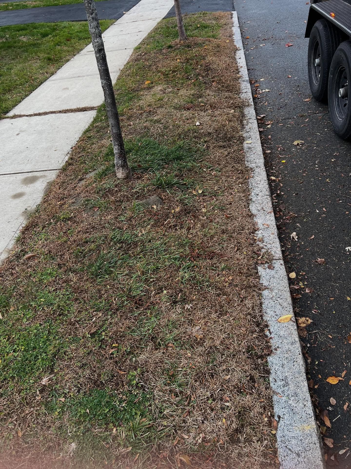  for Bumblebee Lawn Care LLC in Albany, New York