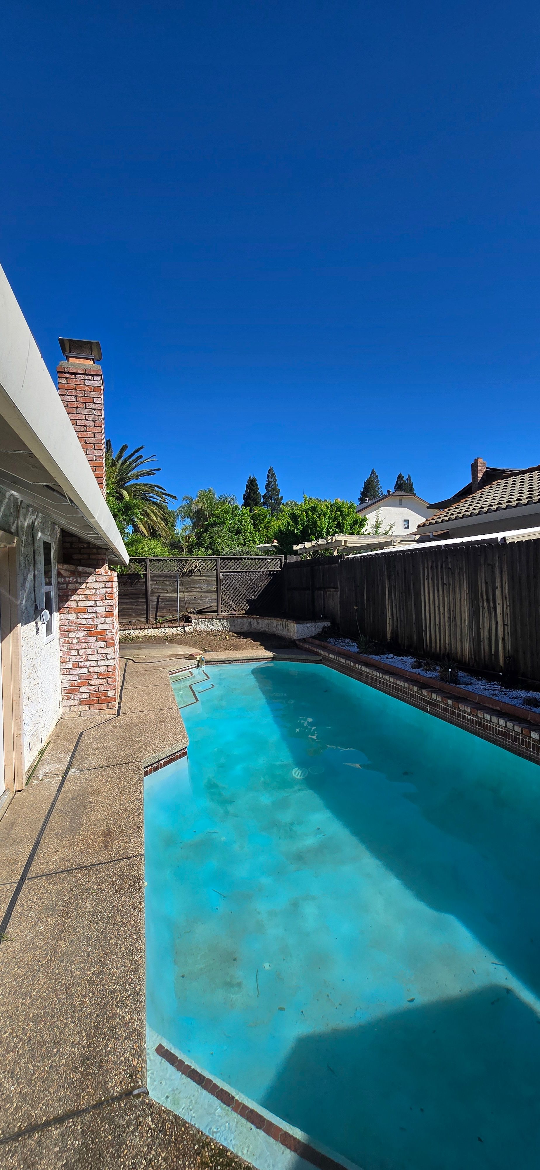  for George Staddan's Professional Tree Care in Placerville, CA