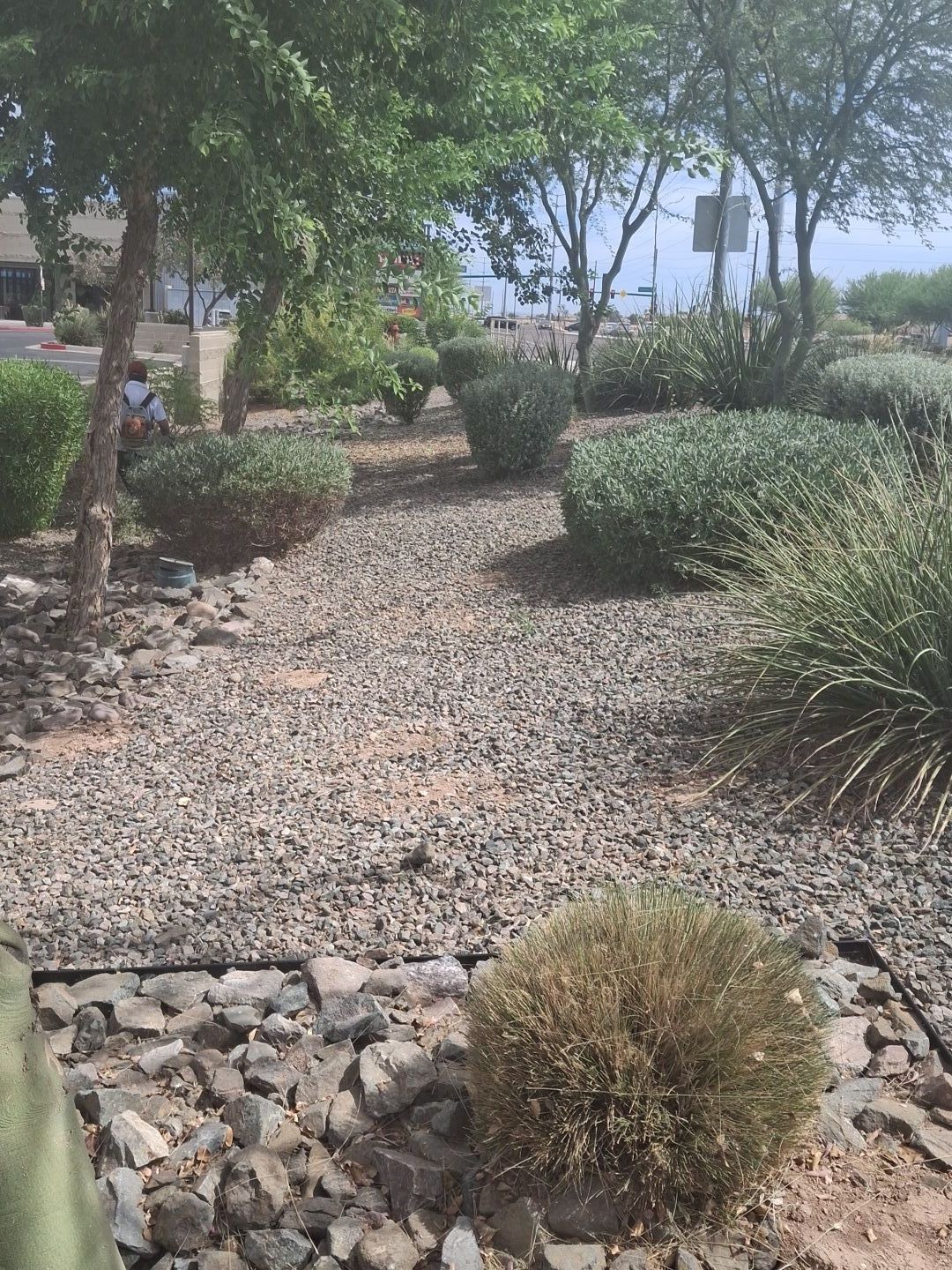  for Family Landscaping in Phoenix, AZ