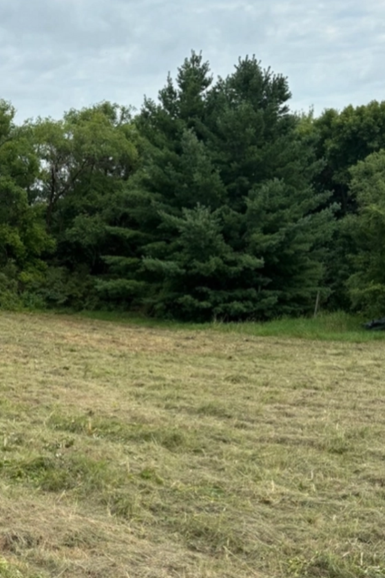  for Root Land Management in Watkins, MN