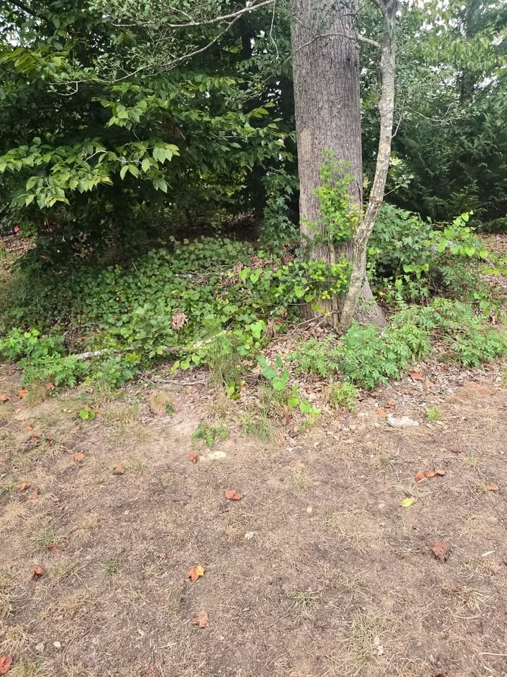  for J Clark Landscaping in Charles City, VA
