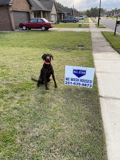  for All-Star Lawn Care & Soft Washing in Mobile, AL