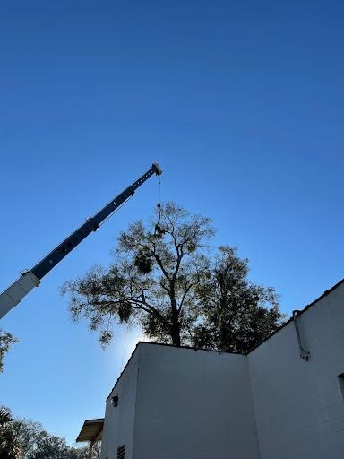  for Elite Tree & Landscape Services LLC in St. Augustine, FL