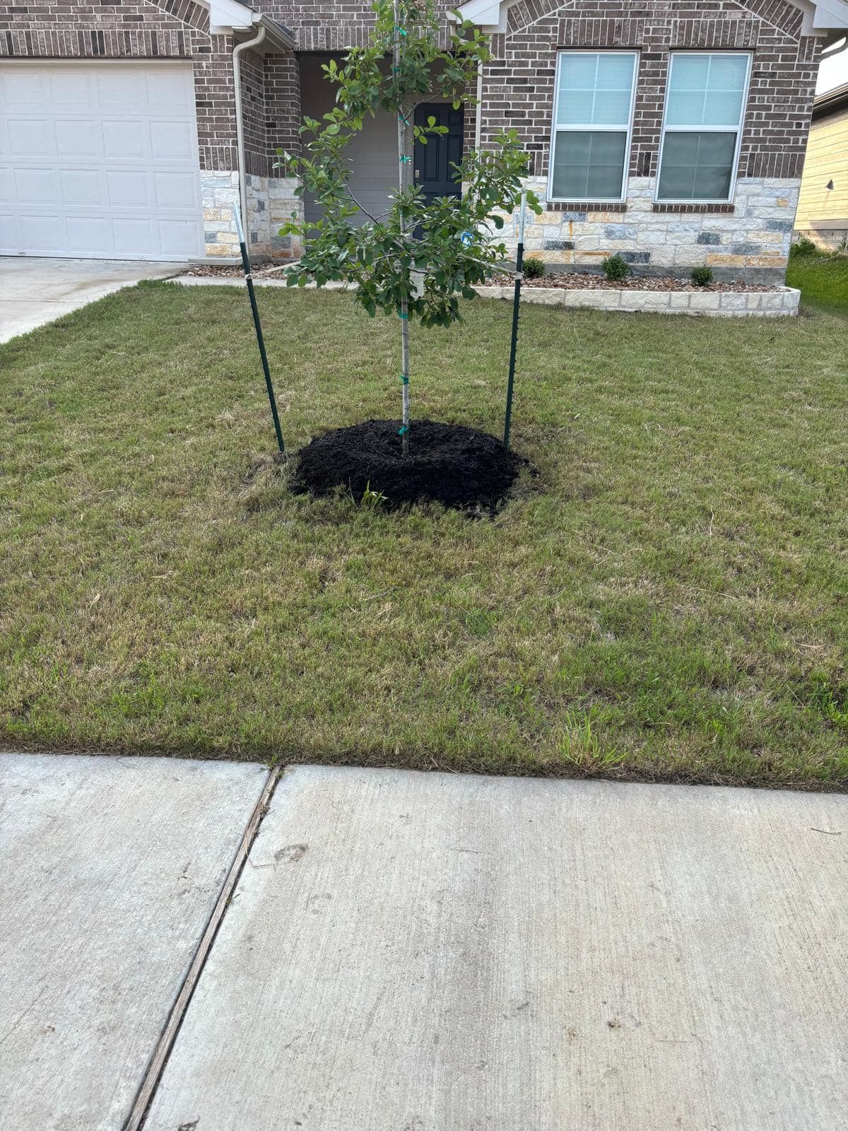  for Pina Landscaping in Austin, TX