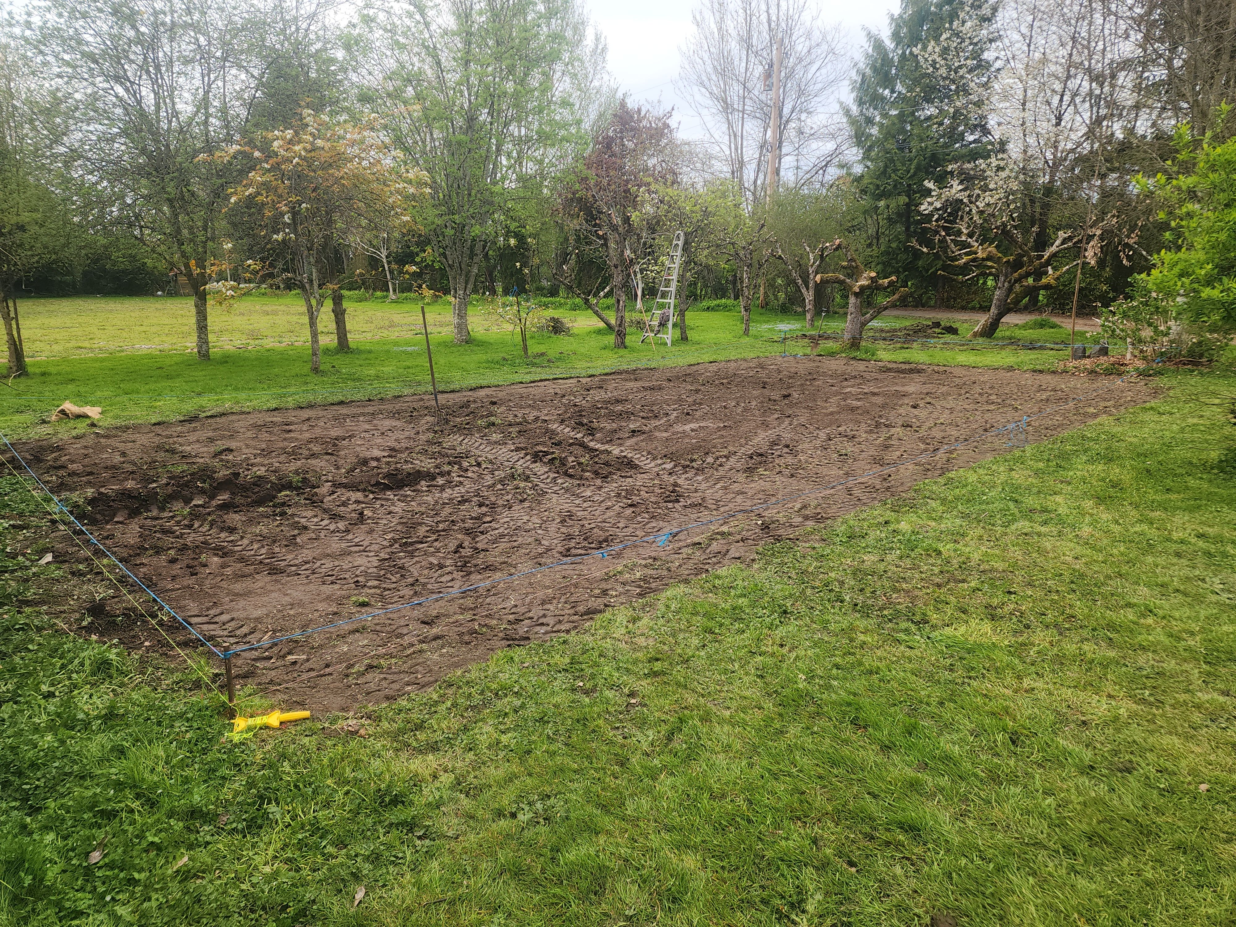  for Renovative Property Services LLC in Bellingham, WA