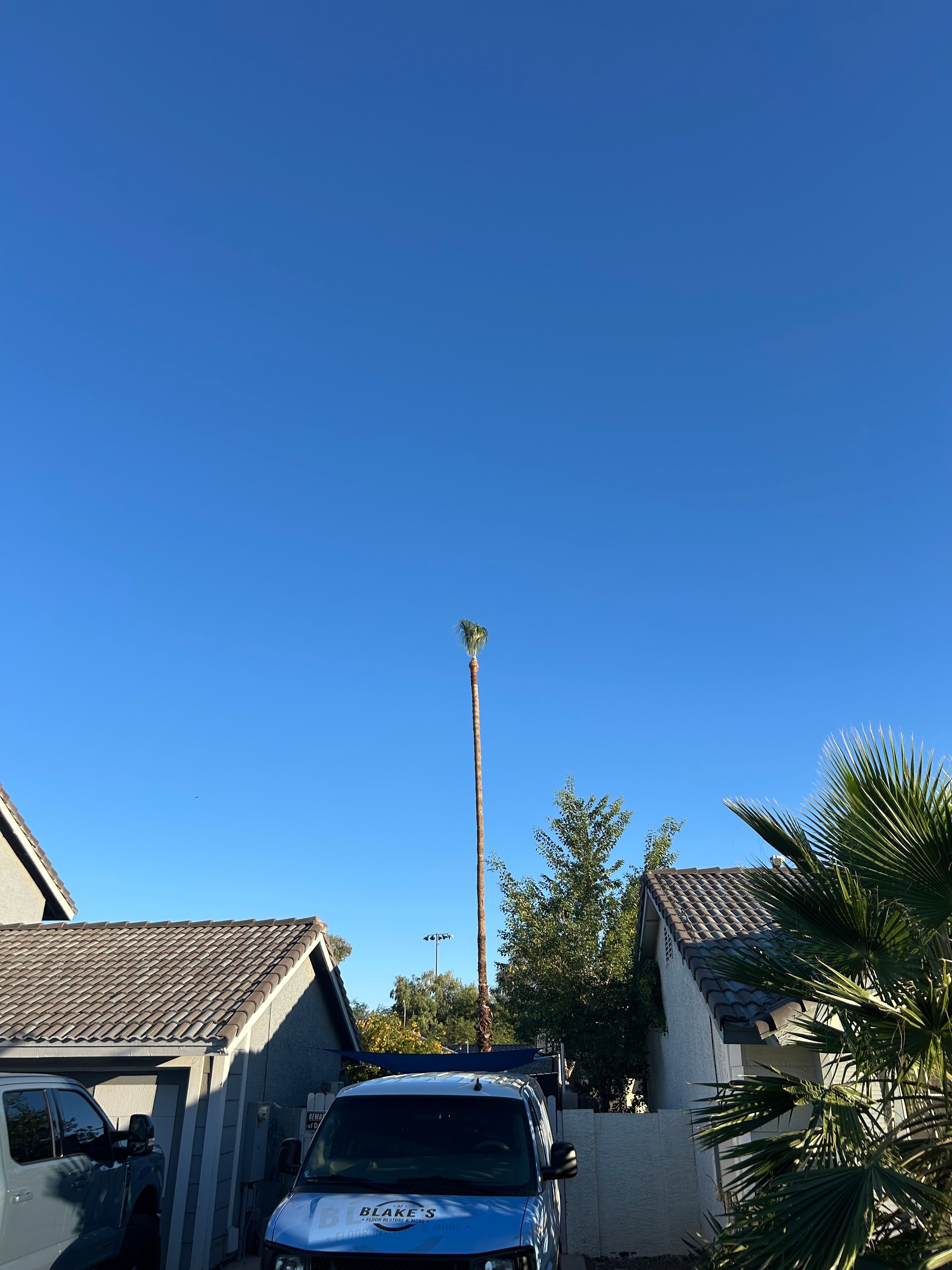  for Copperhead Solution in Phoenix, Arizona