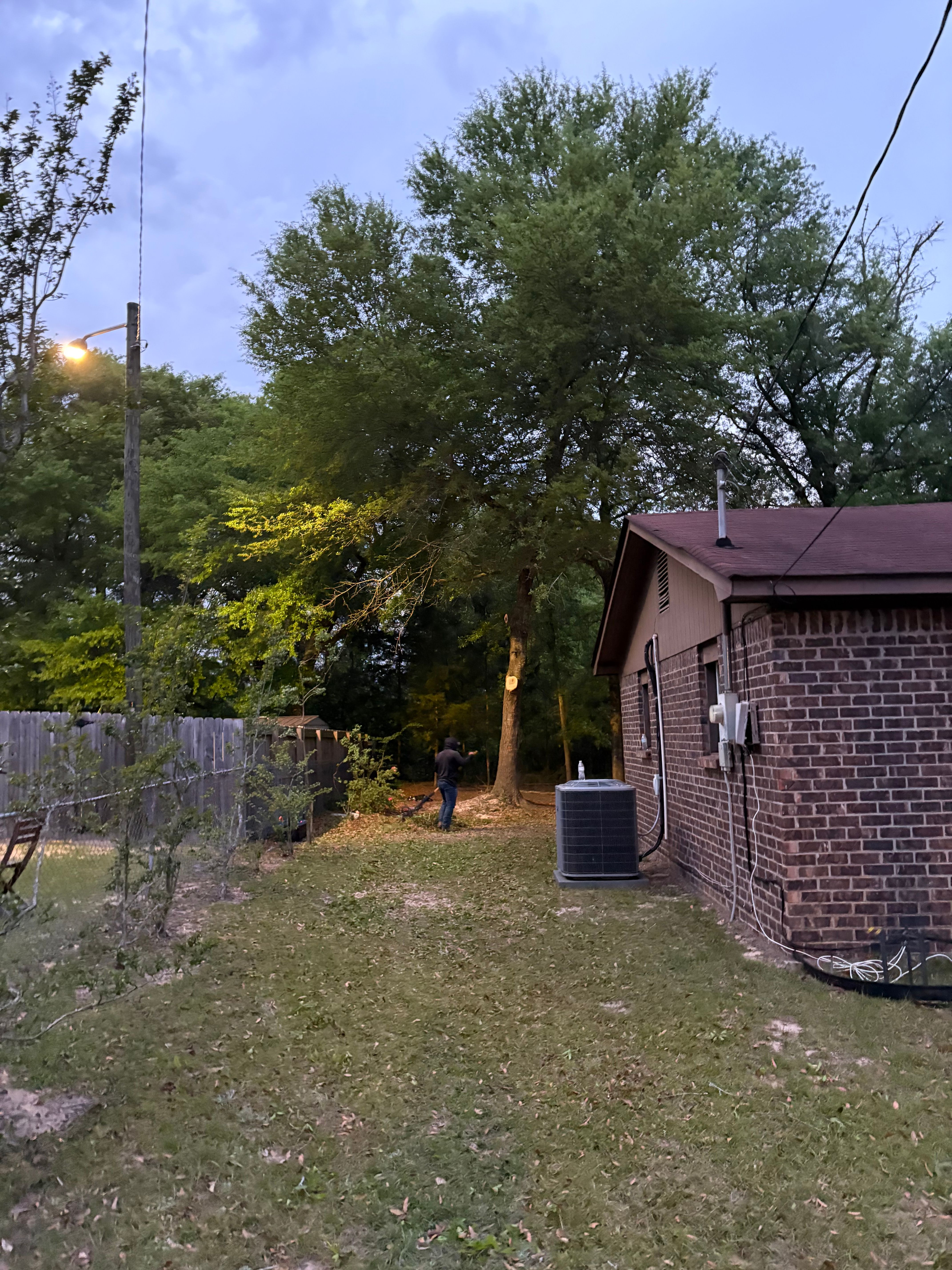  for T N L - Tree and Land Service in Reynolds, GA