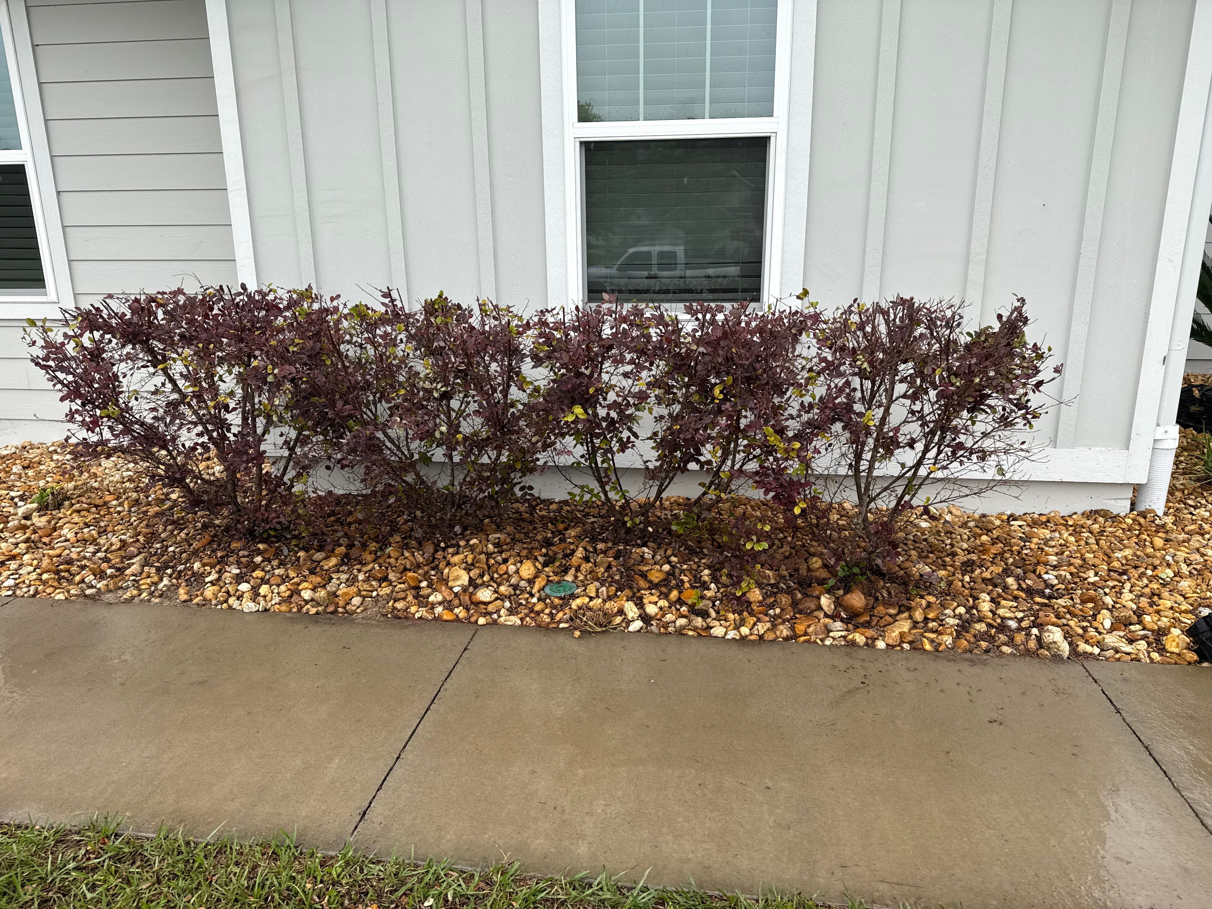  for Turf Titan in Lake City, FL