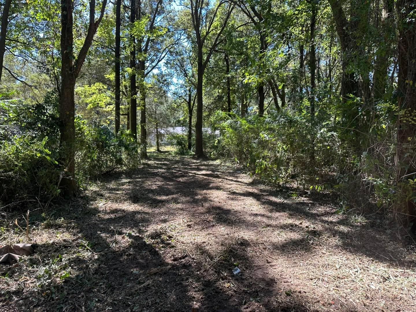  for White’s Land Maintenance in Milton,, FL