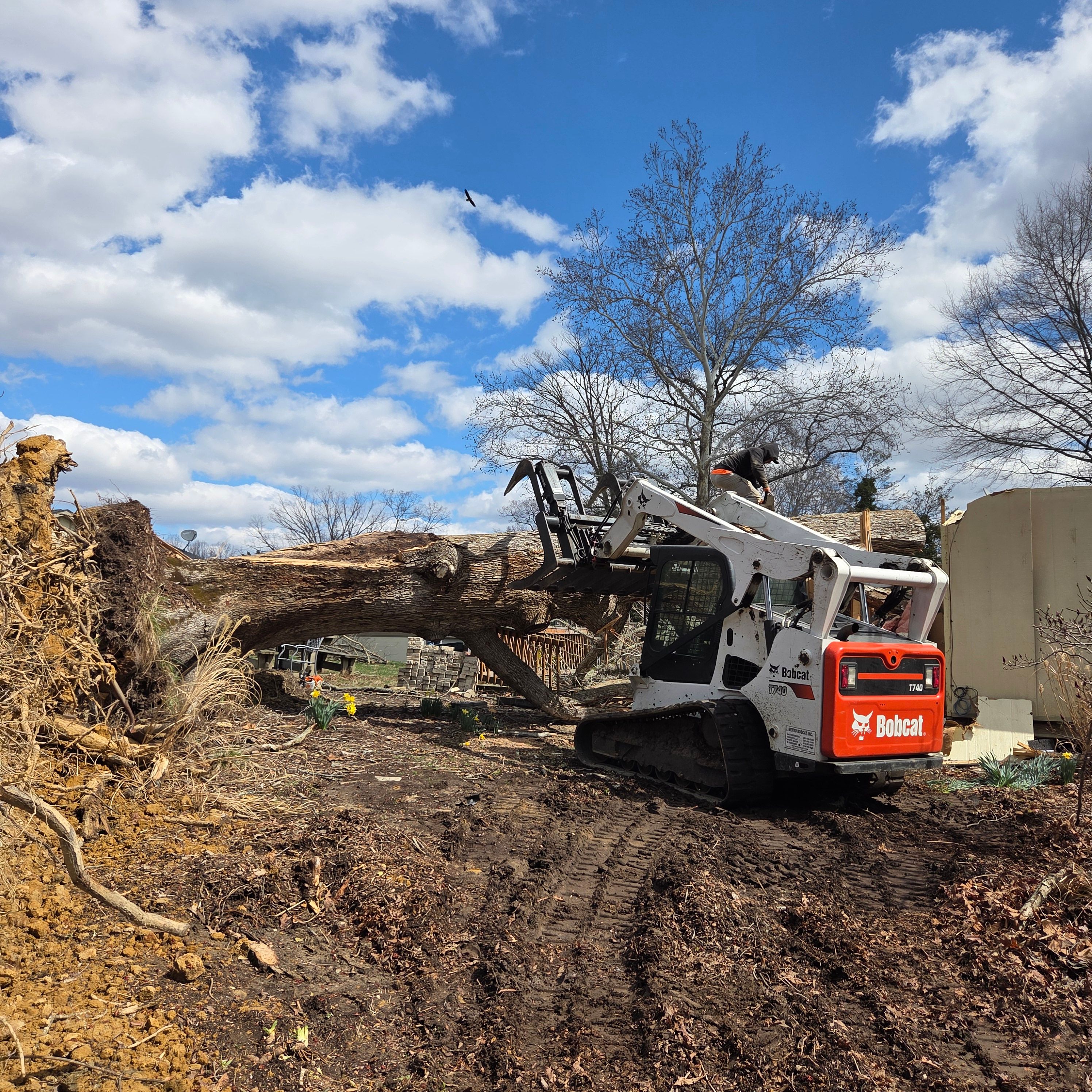  for Darbie's Tree Service in Newburg,  MD