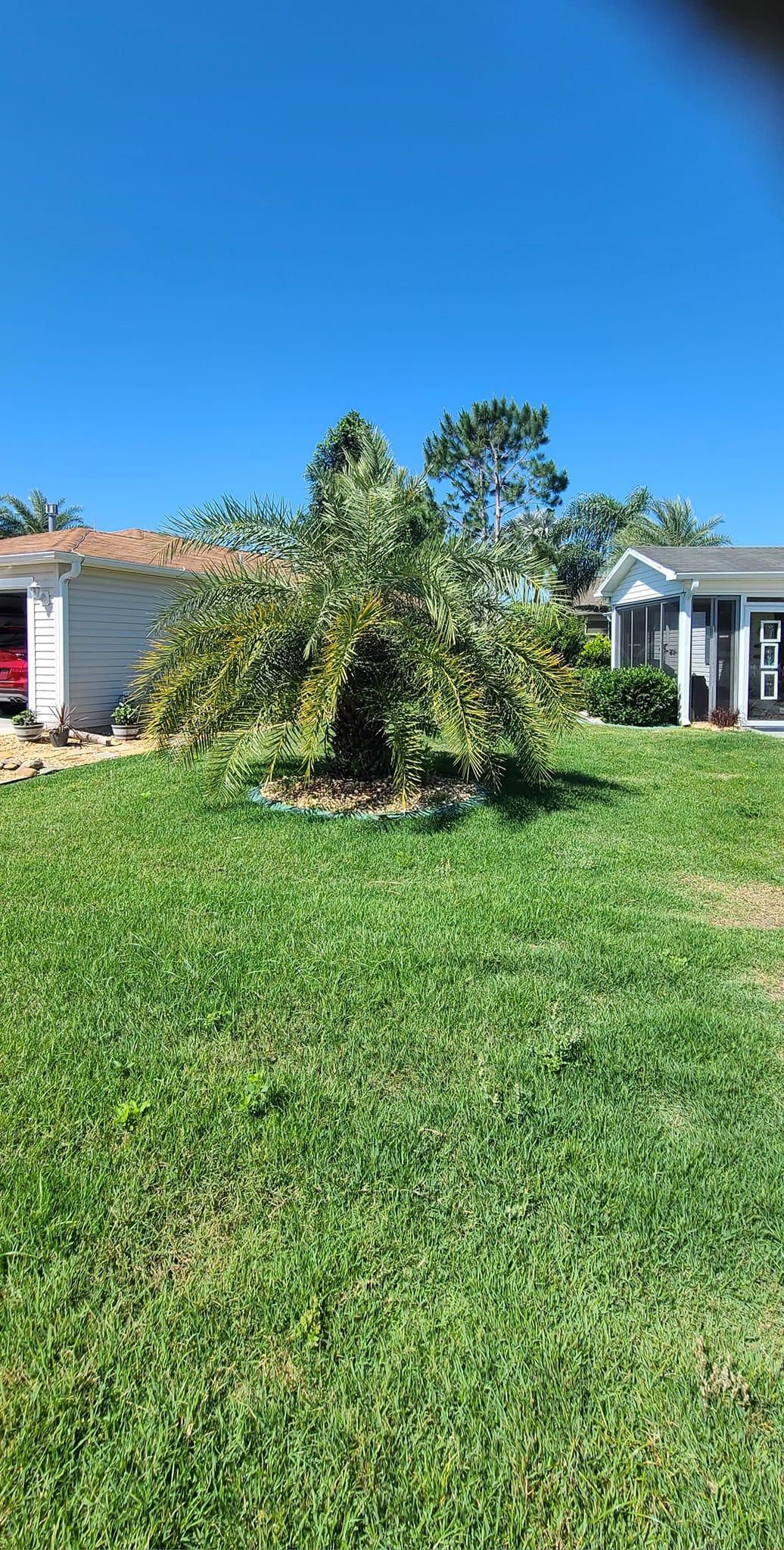  for TopNotch Landscaping Services  in The Villages, FL