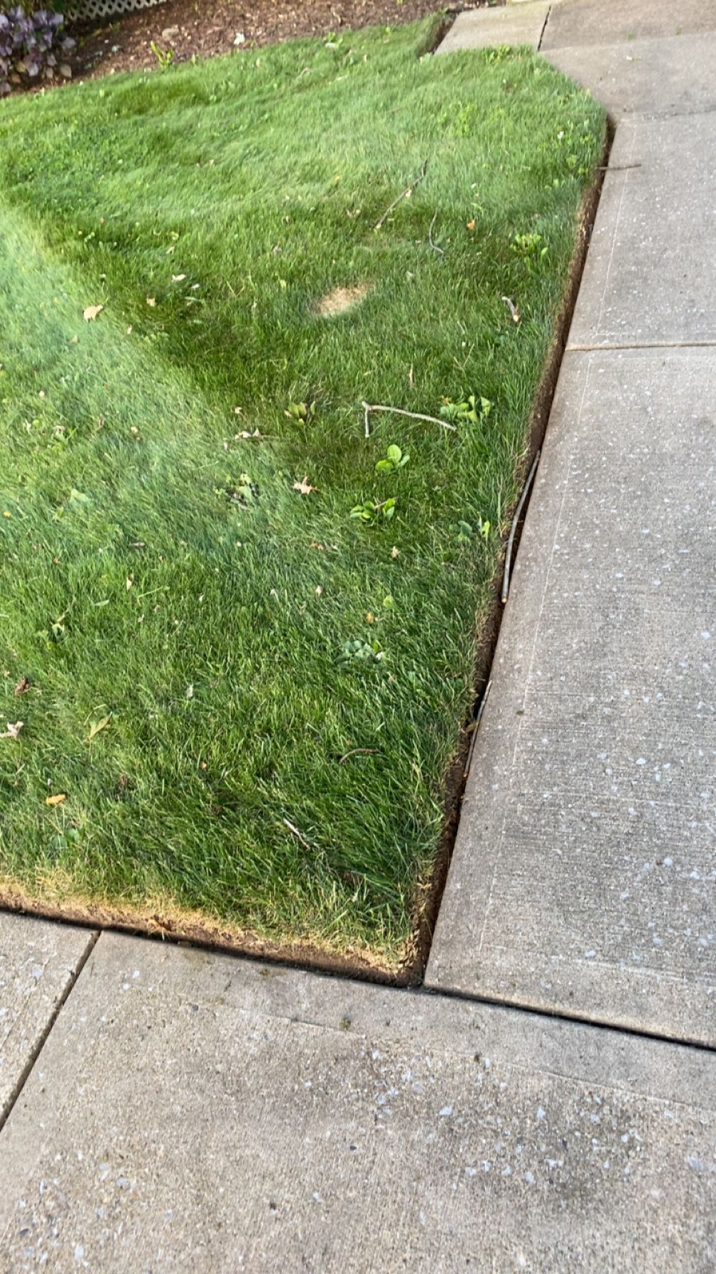  for Saul’s Landscaping Services in Jersey Shore, PA