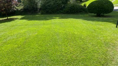  for New Beginning Landscape & Remodel LLC in Atlanta, GA