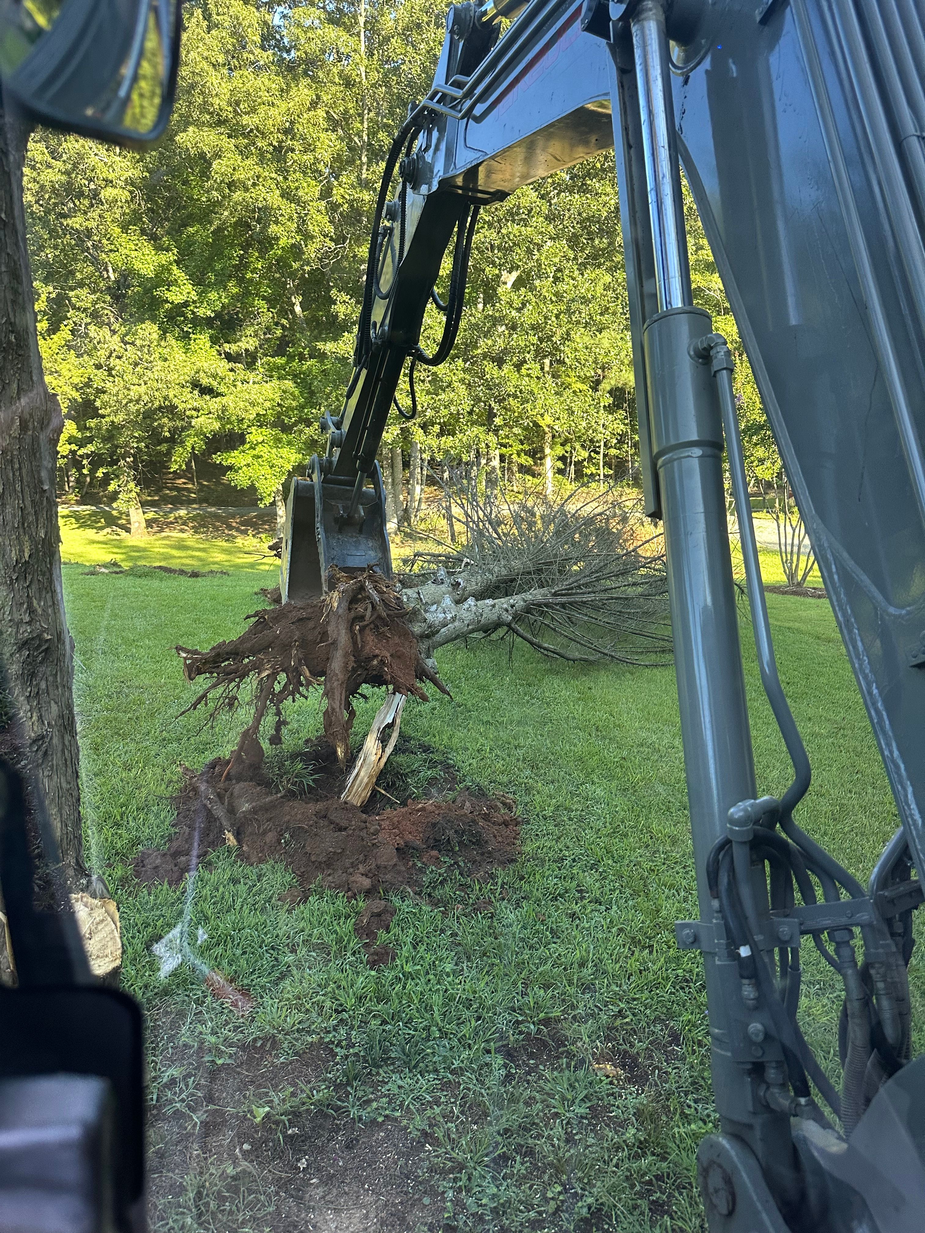 All Photos for ArborMax in Thomaston, GA