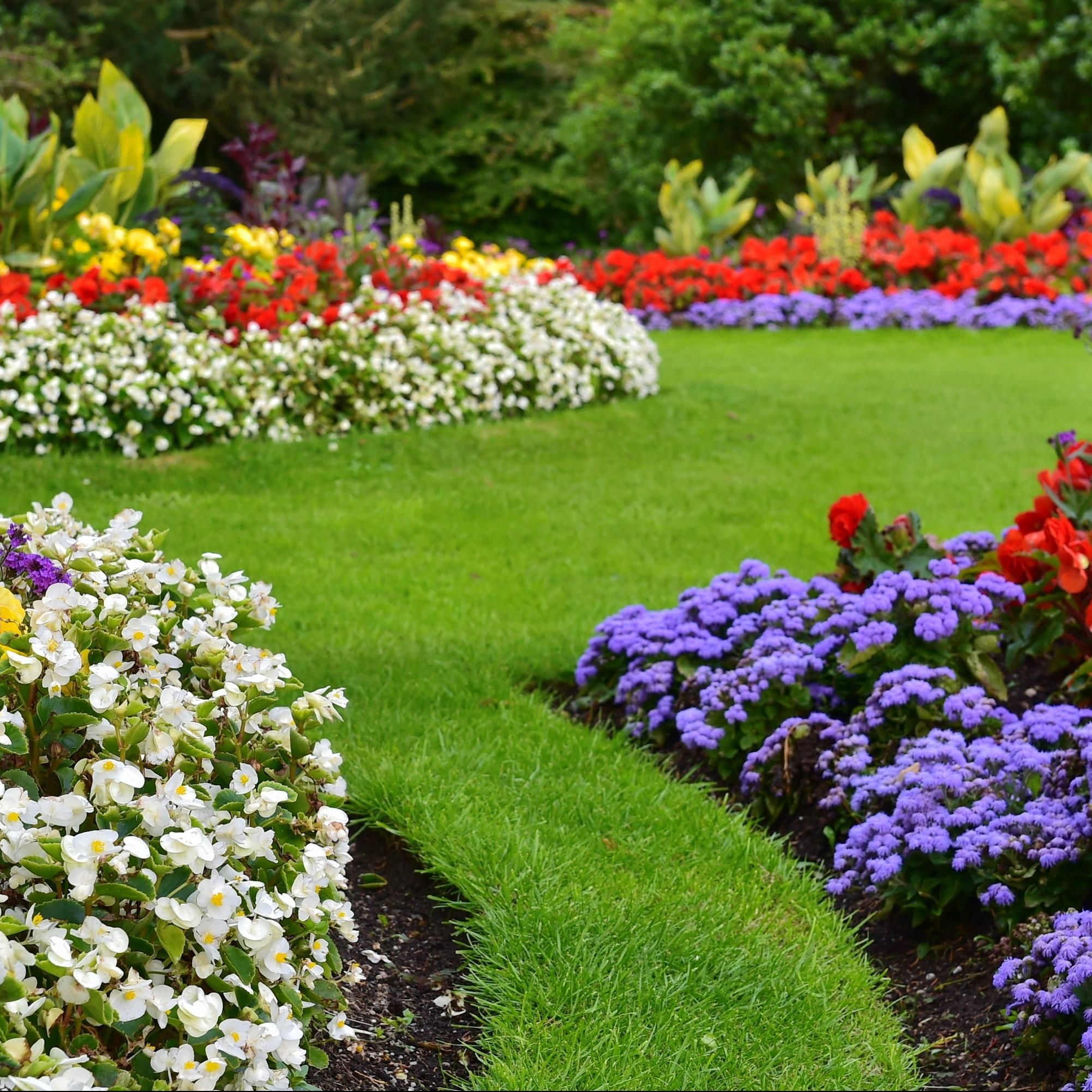  for TopNotch Landscaping Services  in The Villages, FL