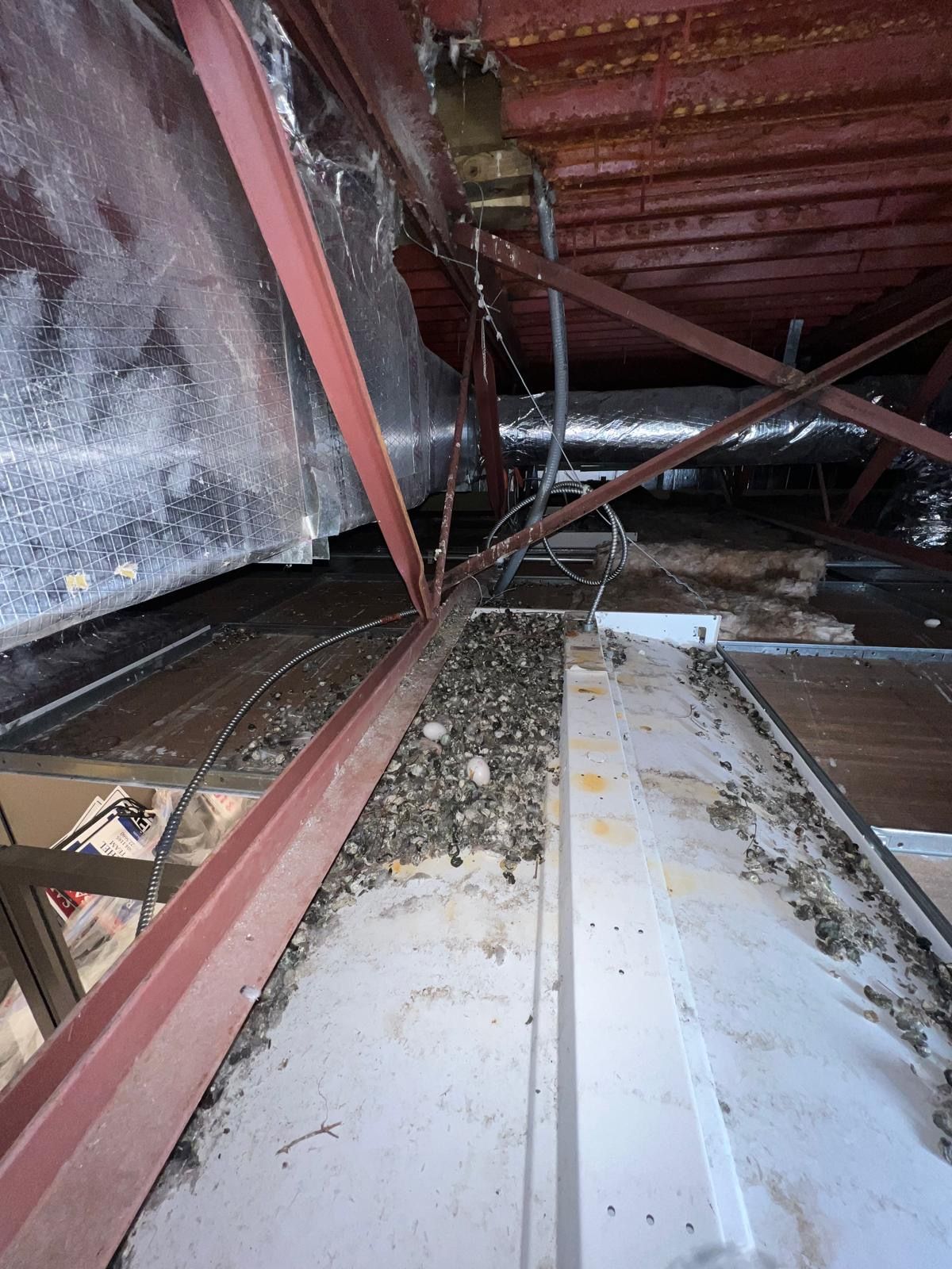  for N&D Restoration Services When Disaster Strikes, We Come In in Cape Coral,  FL