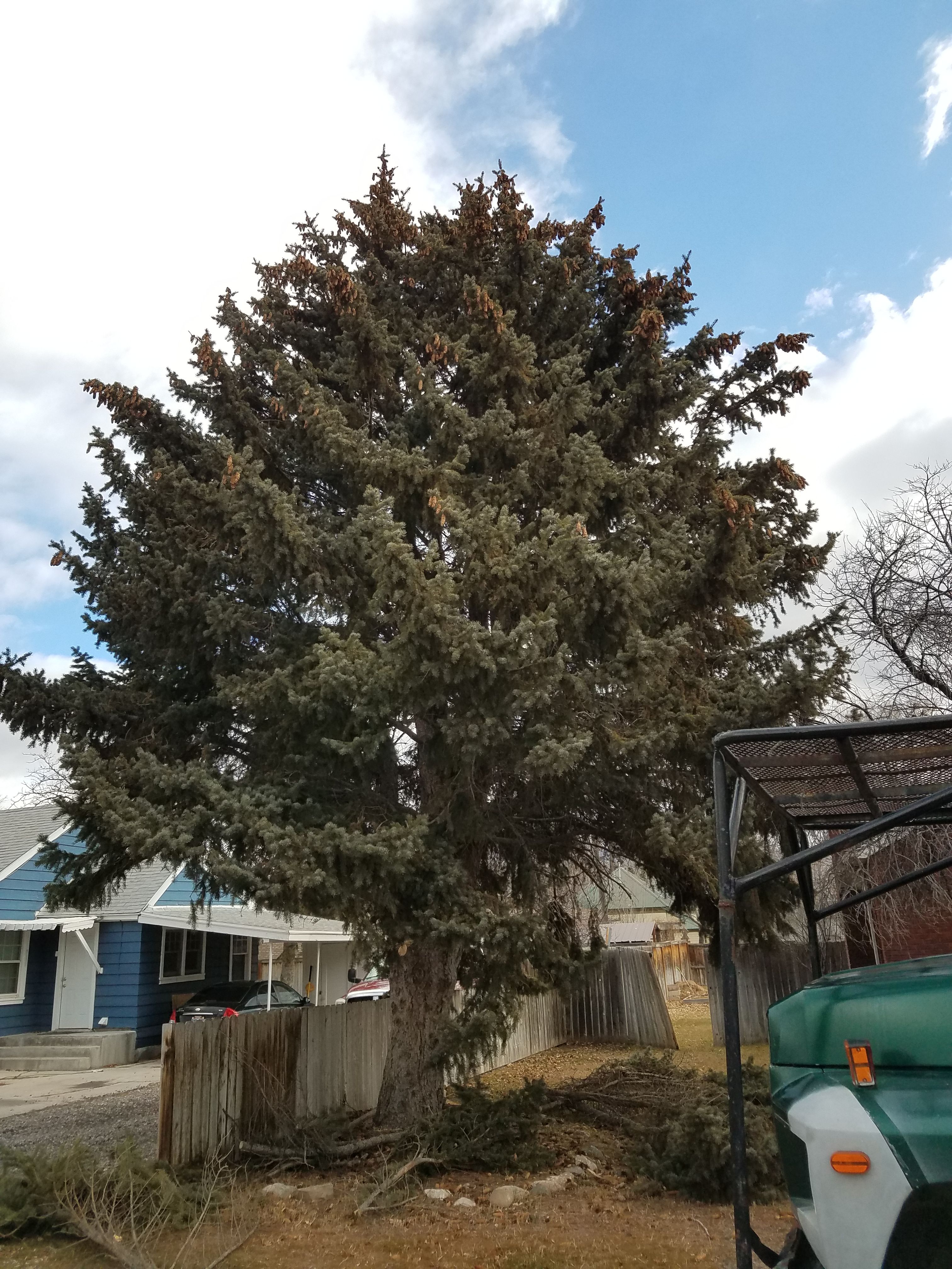  for Platinum Lawn Service in Santaquin, UT