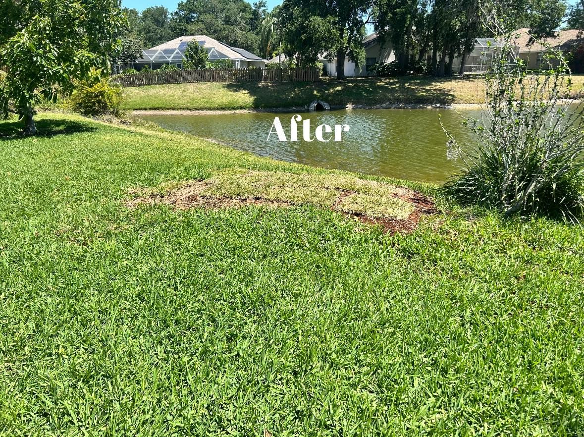  for Greene Acres Stump Grinding in Plant City, FL