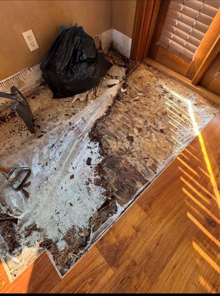  for DH Construction Remodel in Orlando, FL