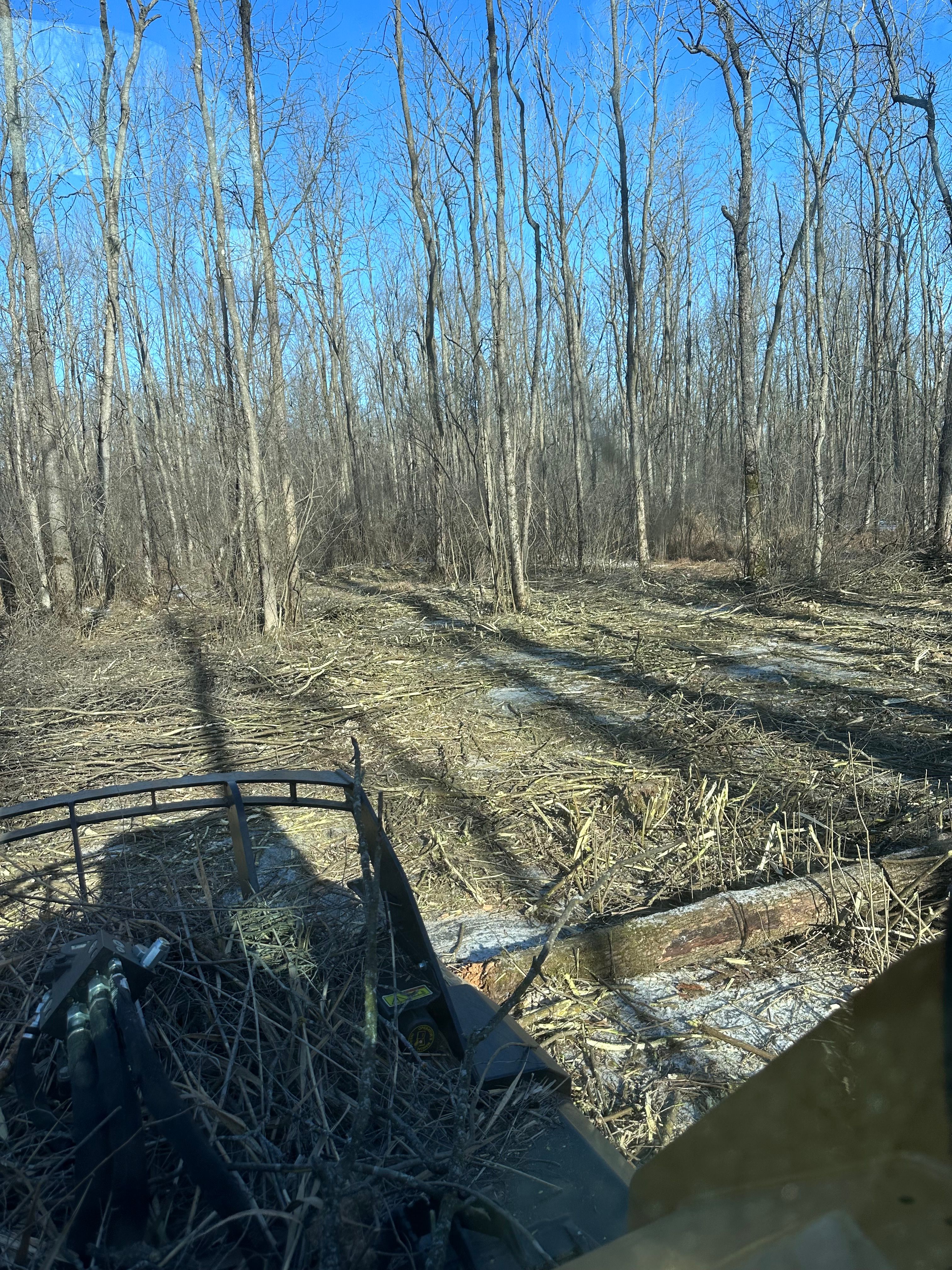  for B & M Land Management in Green Bay, WI