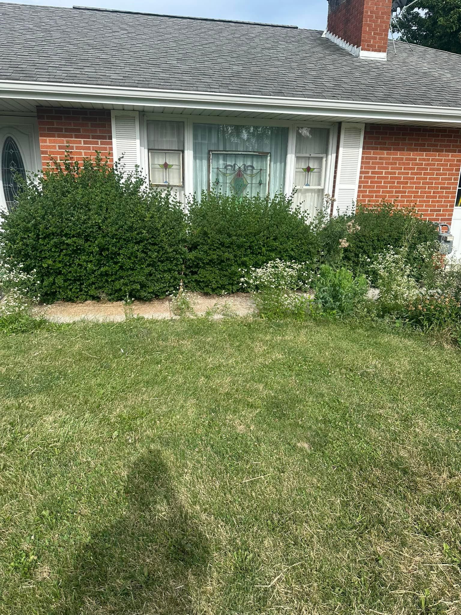  for OT Lawn and Landscaping LLC in Carey, OH