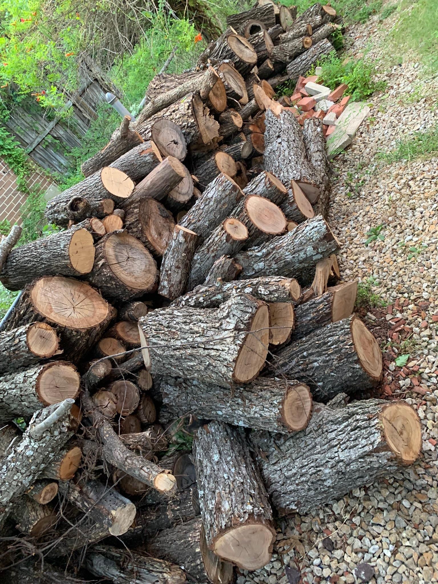 All Photos for Father & Son Lawn Care in Killeen, TX