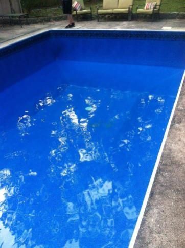  for Down & Dirty Pool Service in Crawfordville, FL