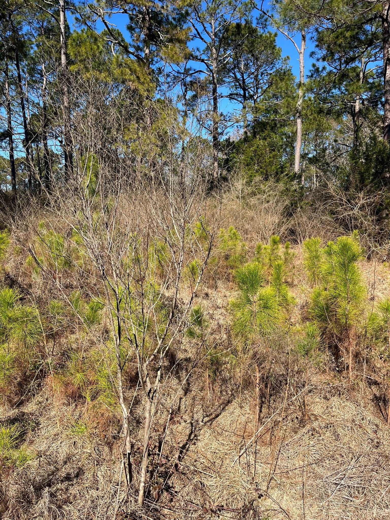 for Thin Blue Line Ventures in Bonifay, FL