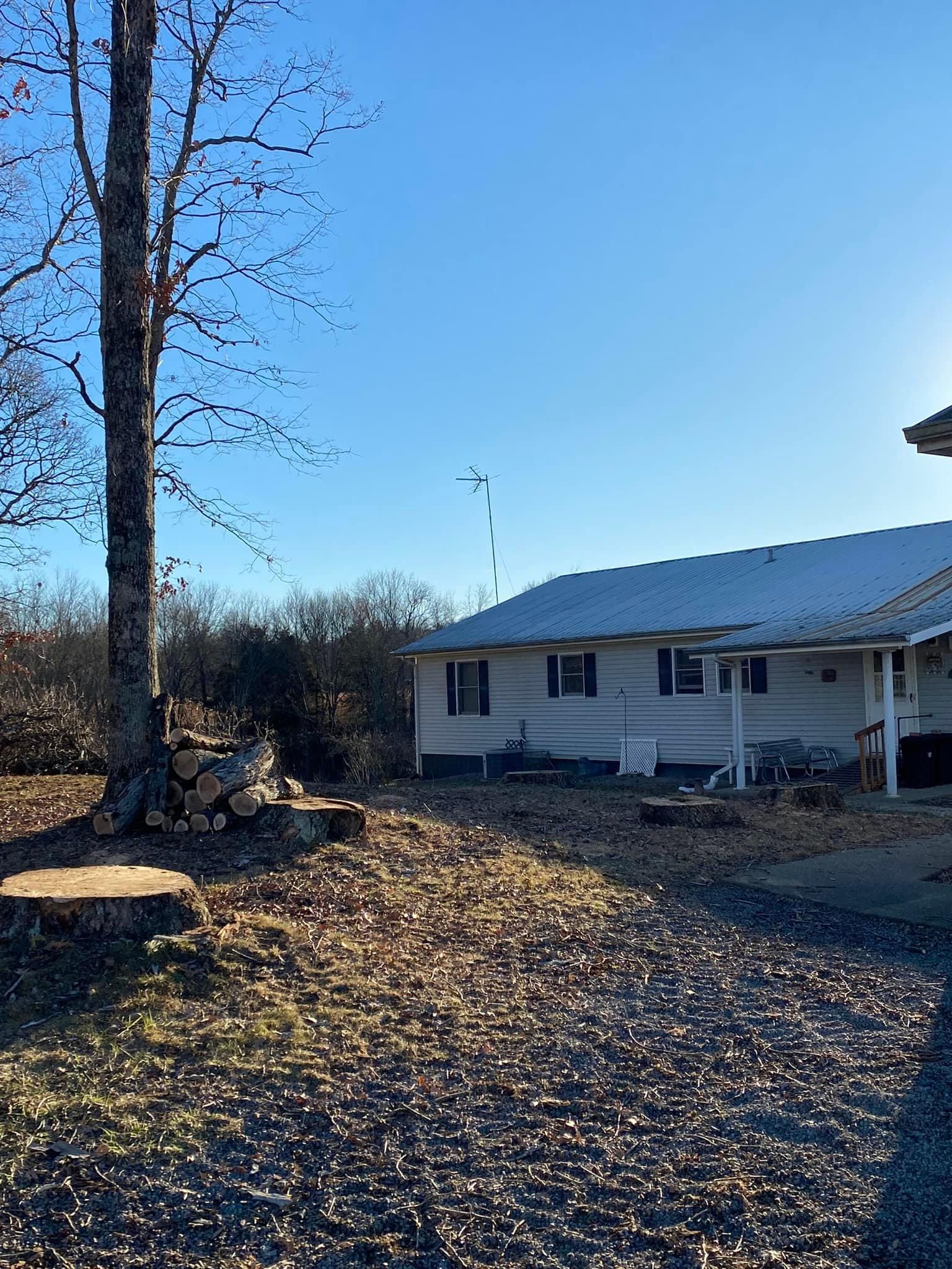 Tree Removal for Atwood’s Tree Care in Liberty,  KY