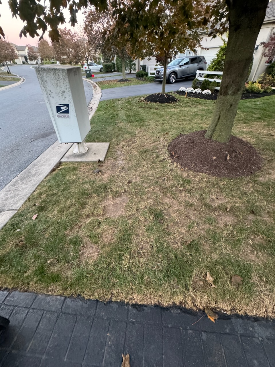 All Photos for Landscape & Lawn Care Pros in Reading, PA