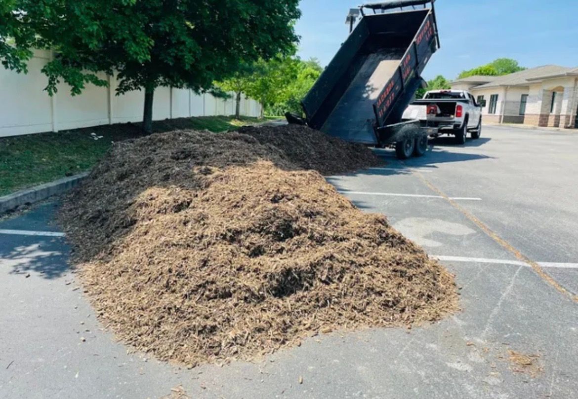  for Jackson Lawn Services LLC in St Louis, MO