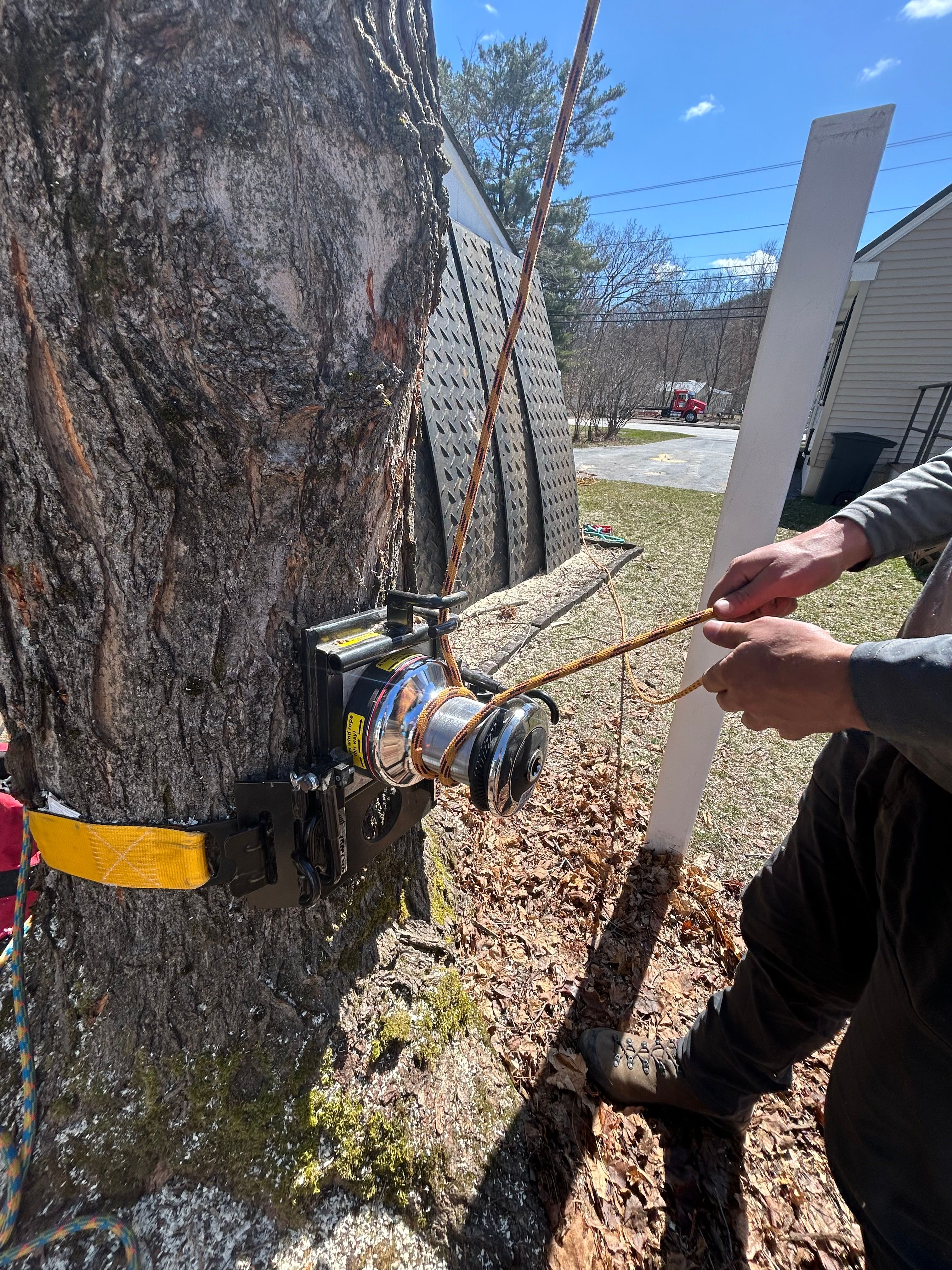 All Photos for Clifford’s Quality Tree Care & Landscaping in Enfield, NH